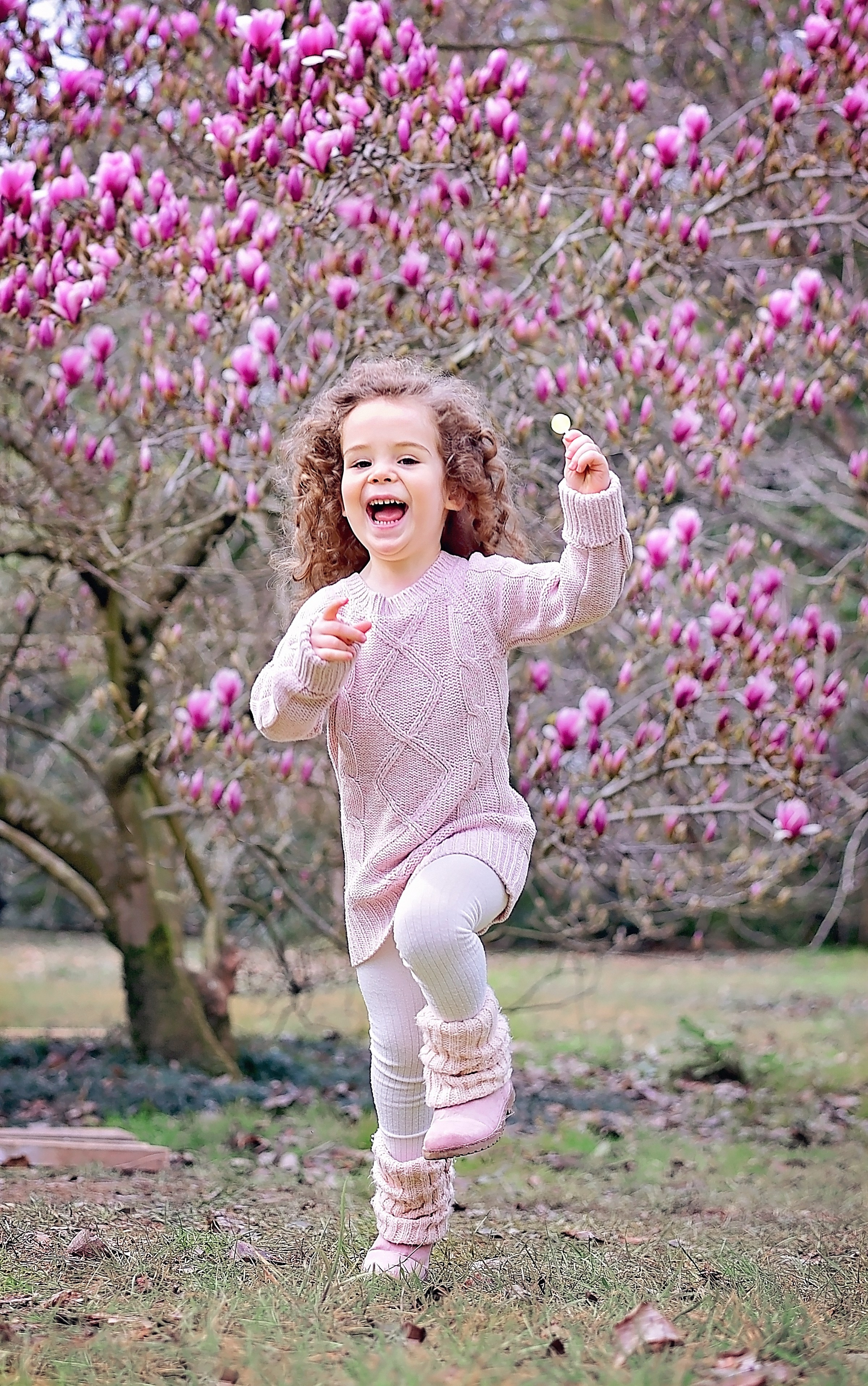 Магнолия. Главная