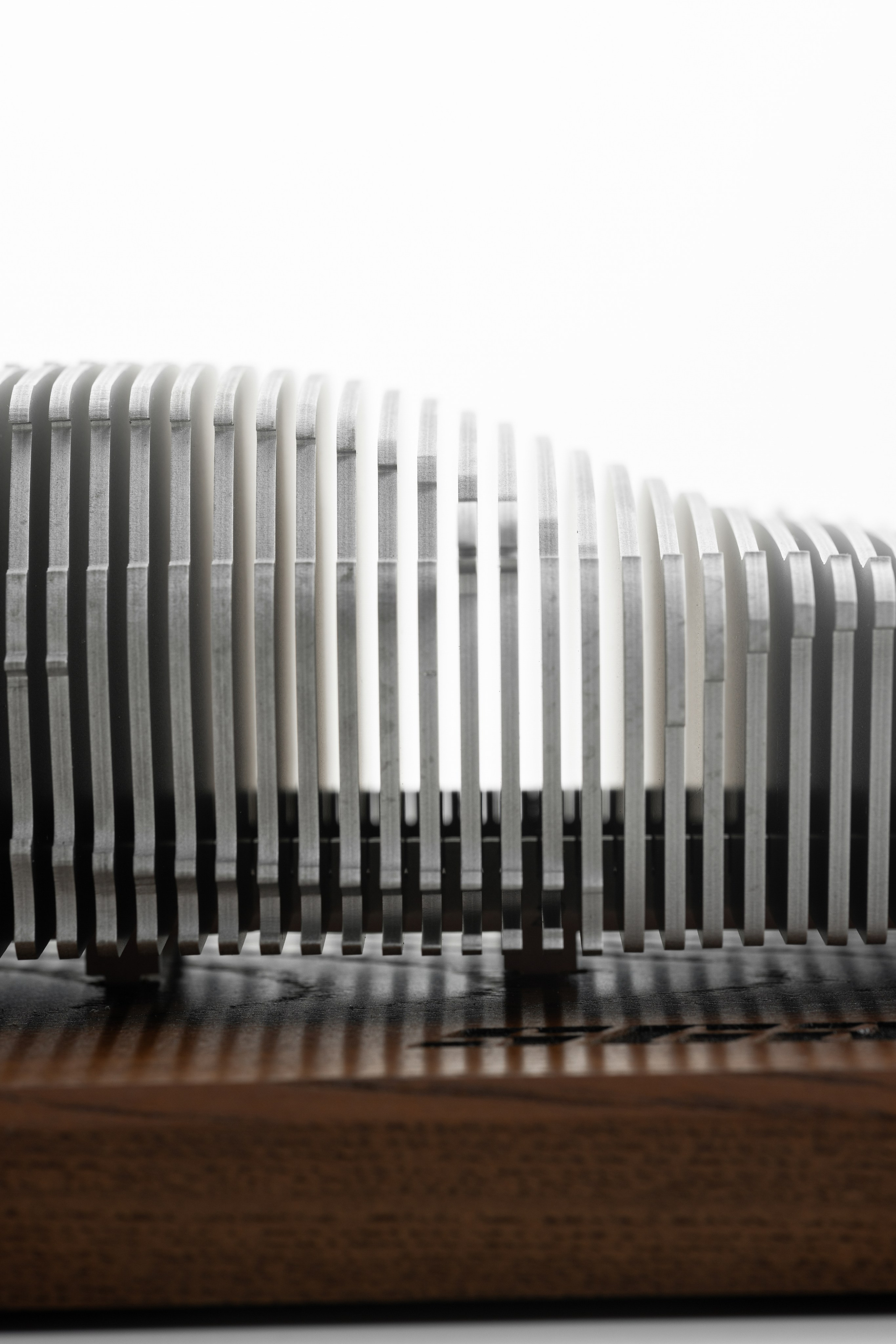 Scalium. Фотограф на Юге России