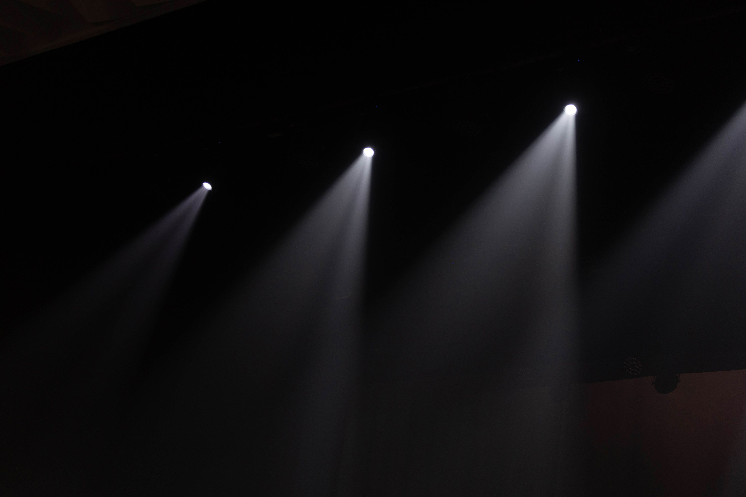 Репортажная съёмка. Фотограф-анималист в Омске Екатерина Маричева