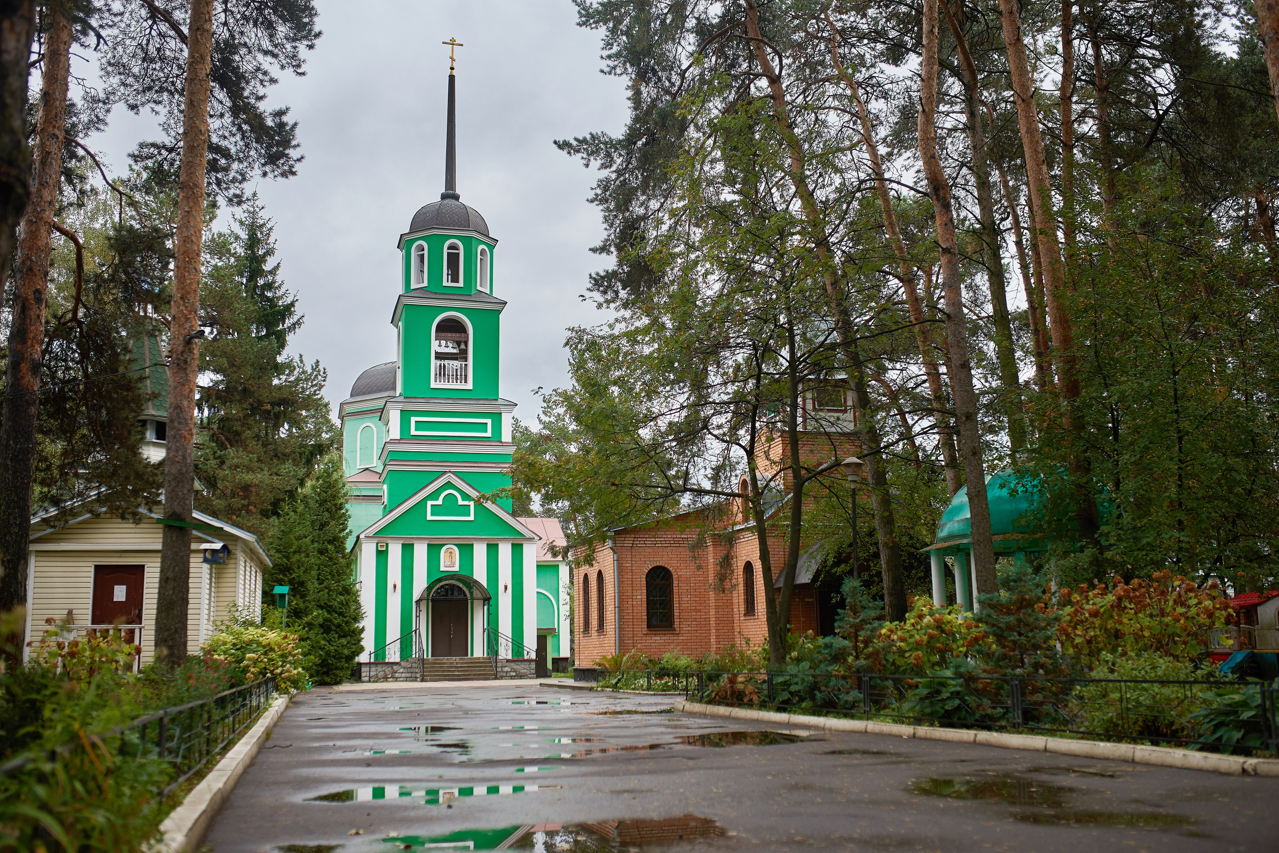 Храм Саввы Сторожевского, крещение. Балашиха