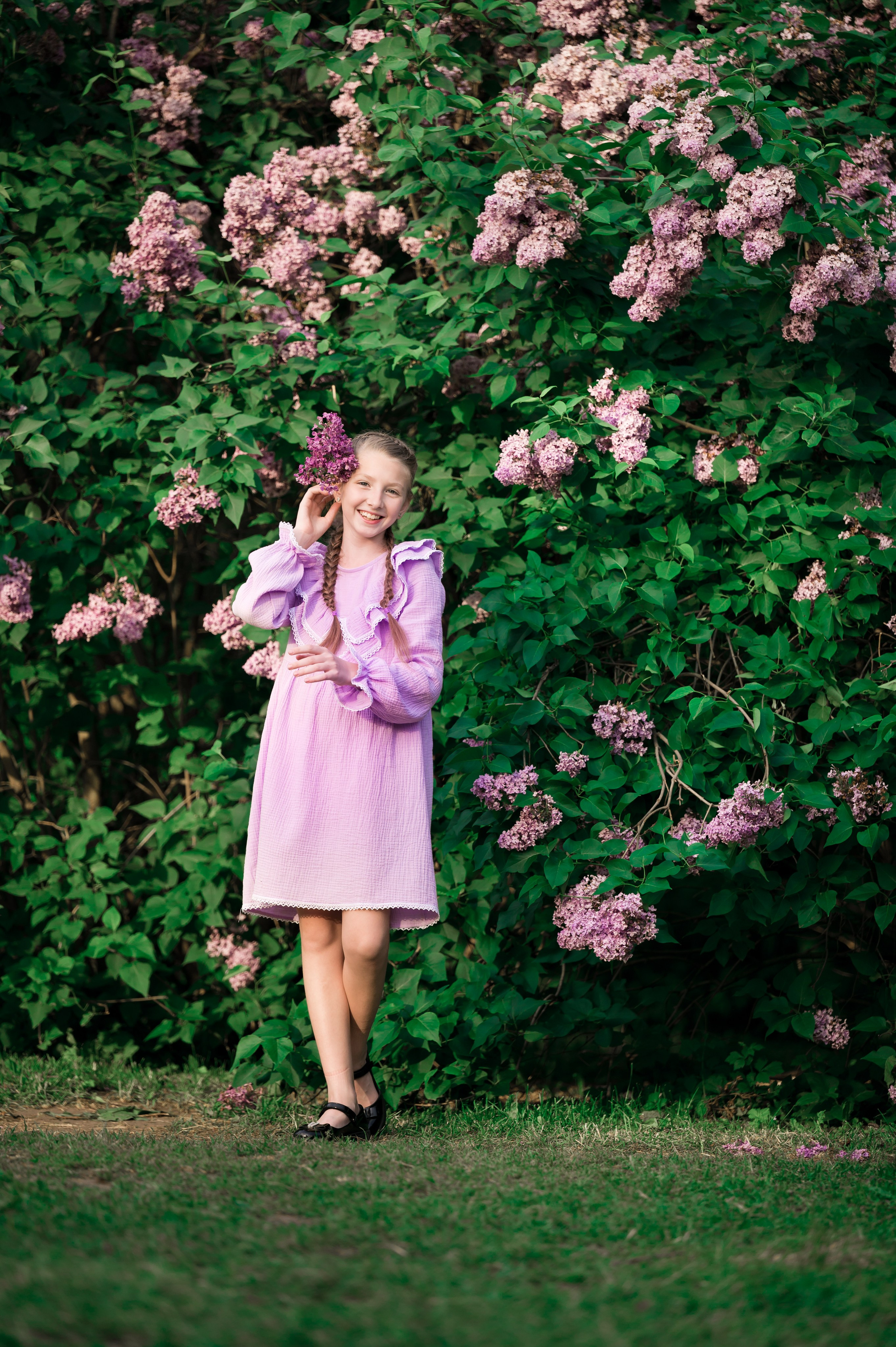 Сиреневый сад. Фотограф Егоров Констанин