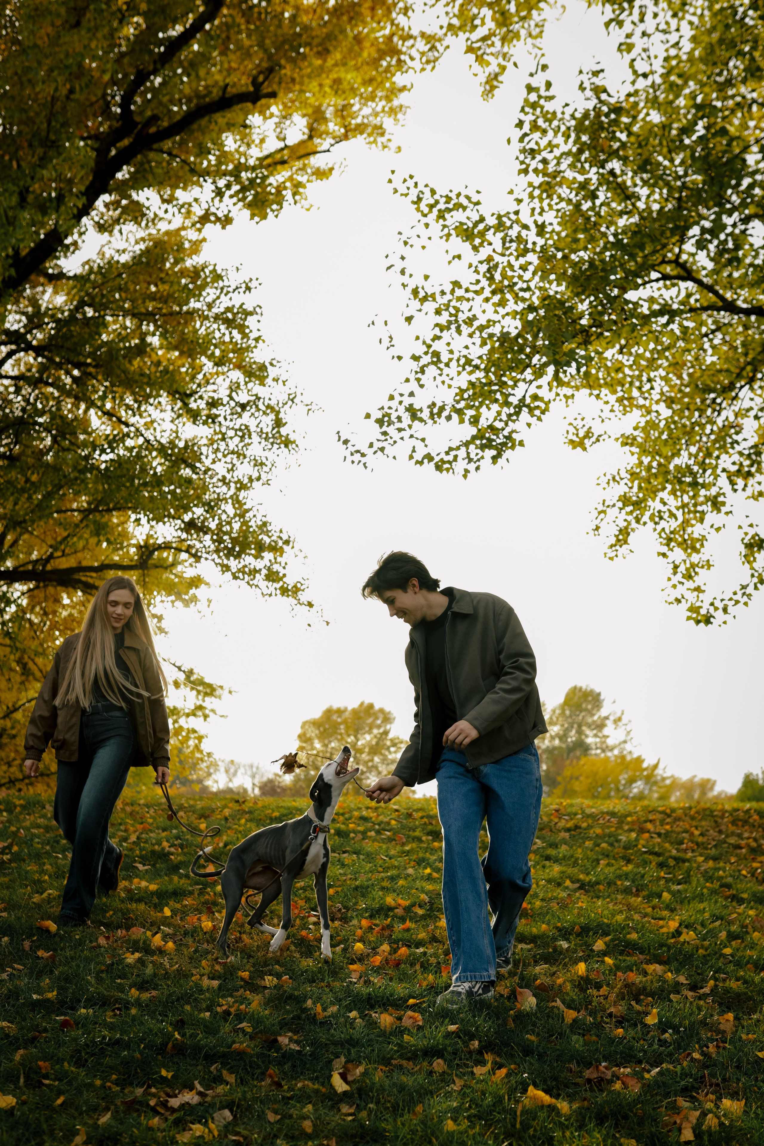 Первая осень Йотуна. Свадебный и семейный фотограф в Варшаве