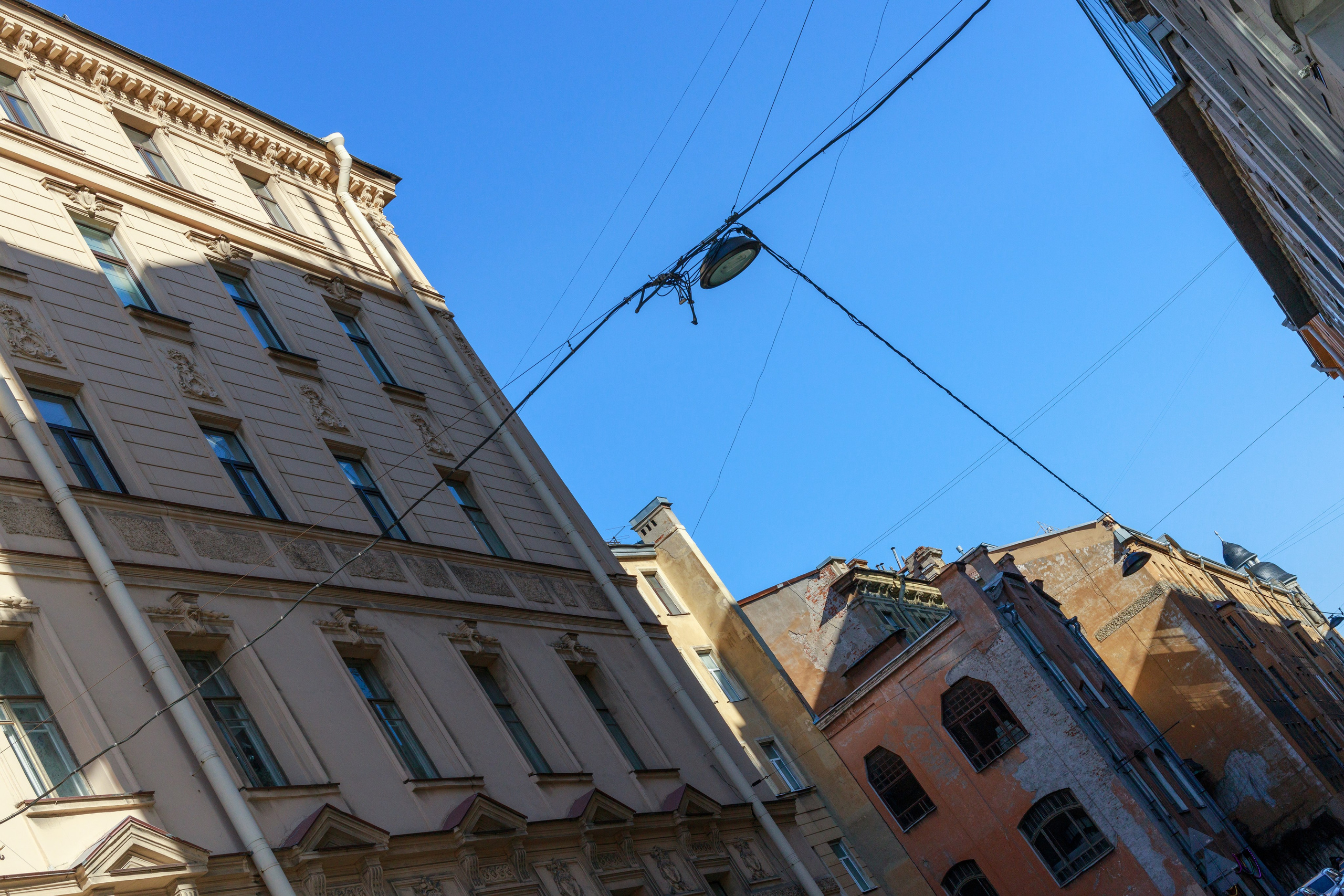 Фотопрогулка в городе с тюльпанами. Фотограф Санкт-Петербург Конюхова Мария