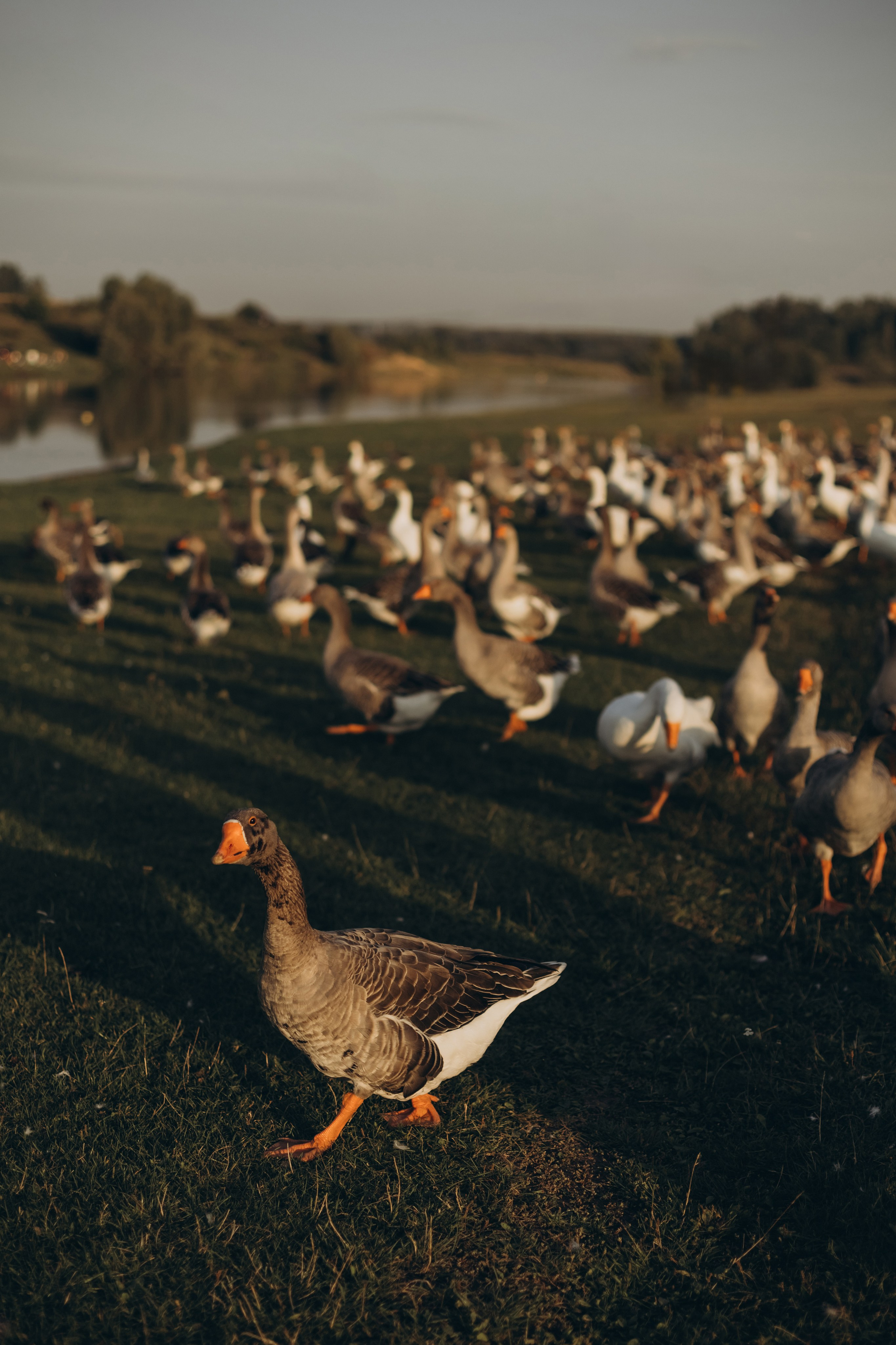 Главное, что есть ты у меня. Семейный фотограф в Брянске Зурилина Екатерина