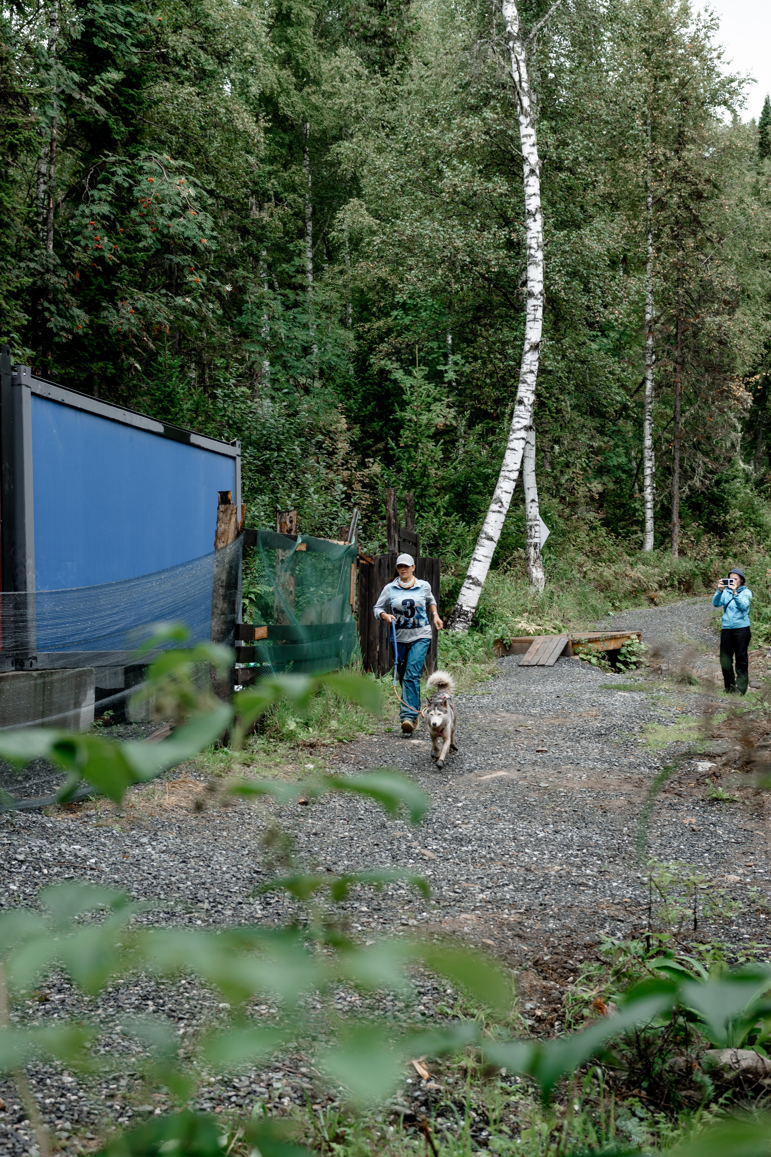 Дог-треккинг