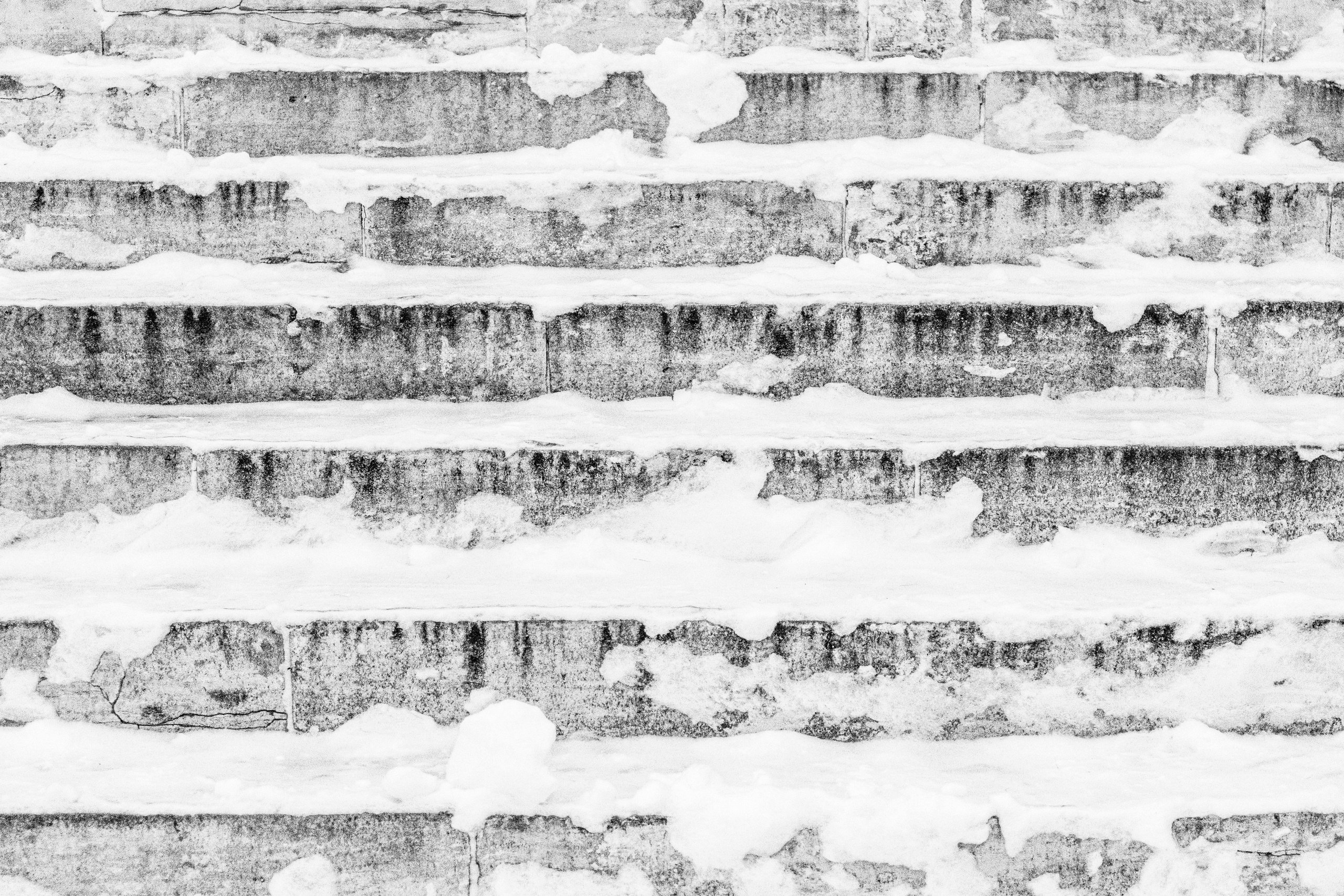 Снег в Москве. Портретный и архитектурный фотограф в Москве и Санкт-Петербурге