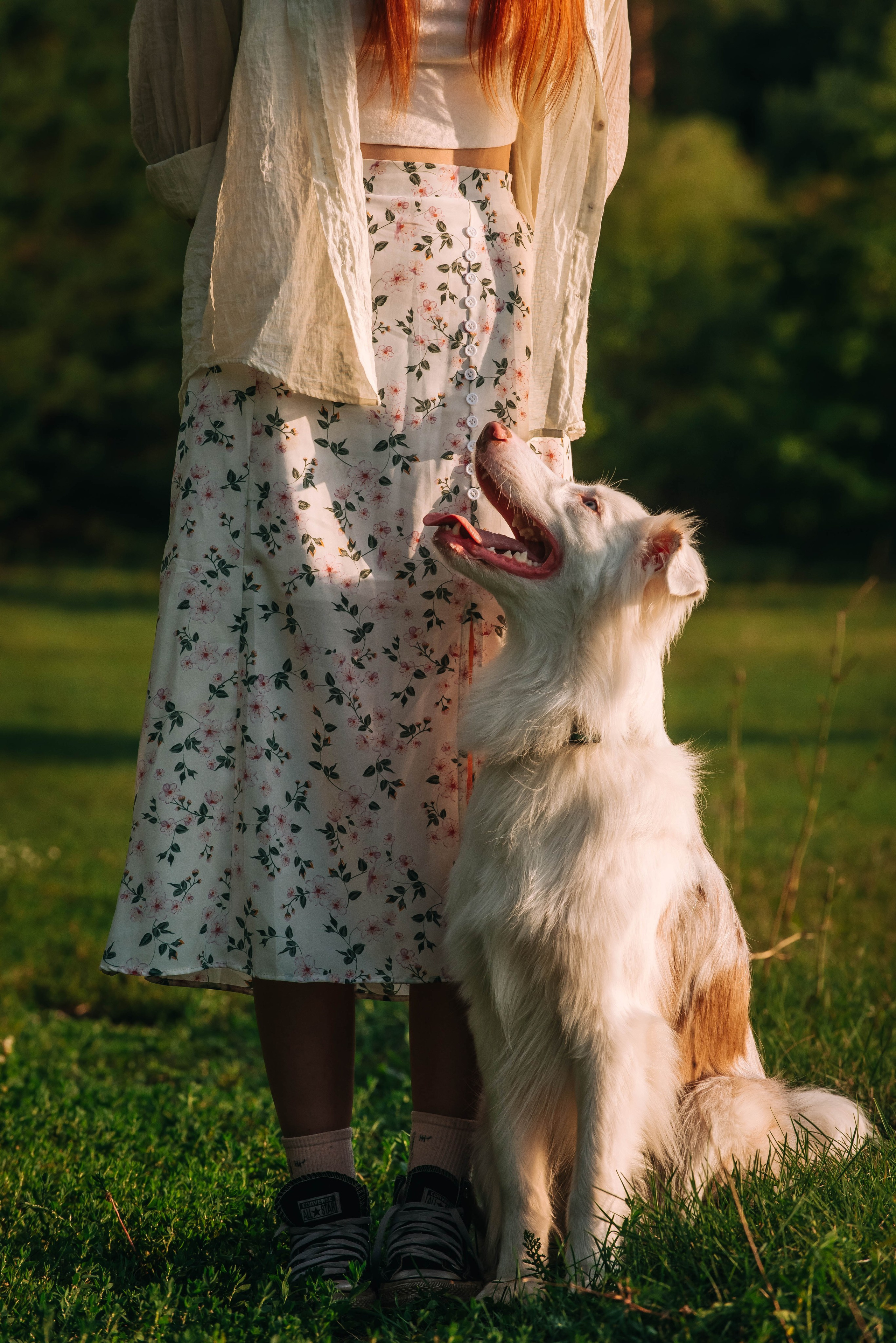 Лиза и Айви. Главная