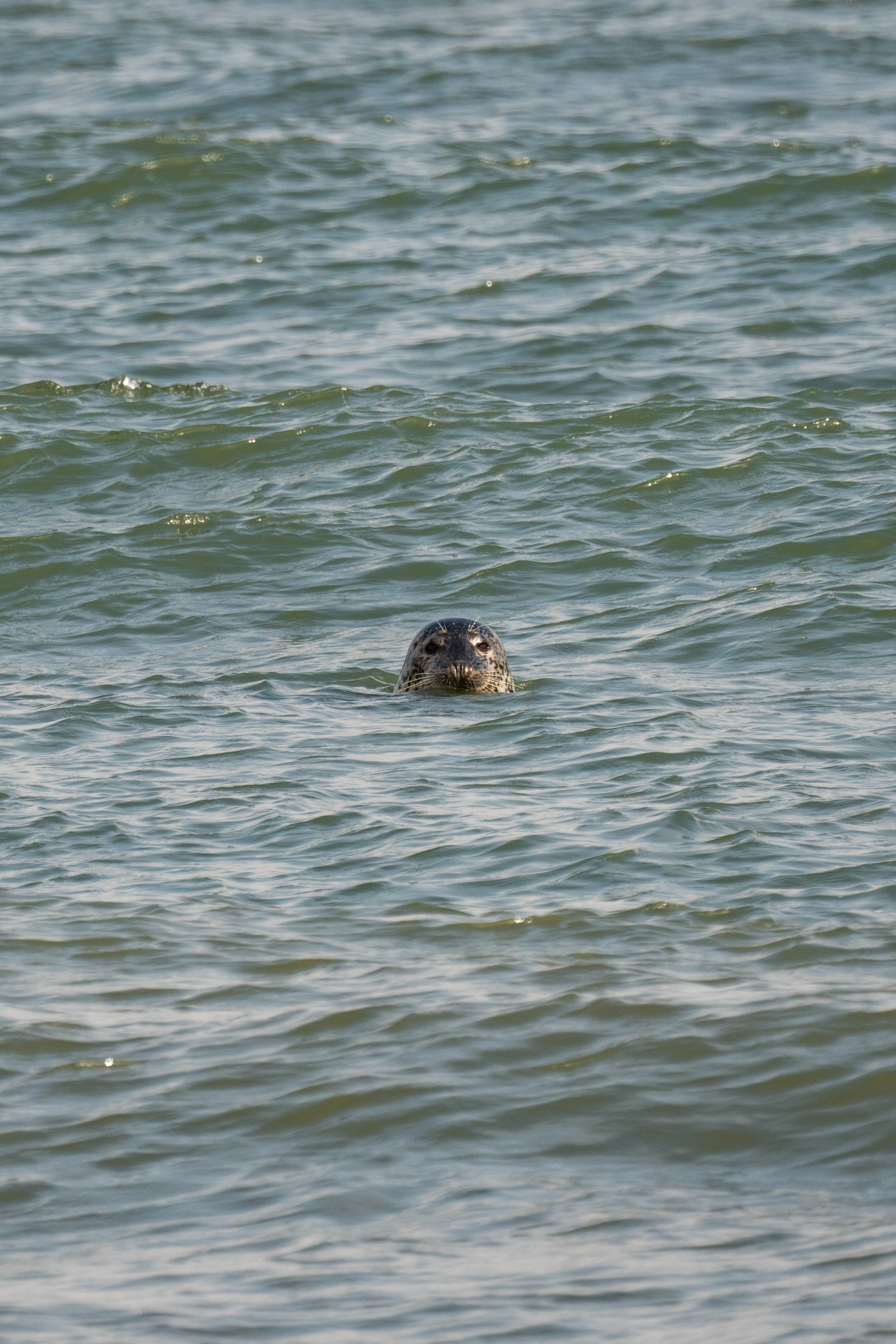 Сахалин. Gusarov Travel Photography