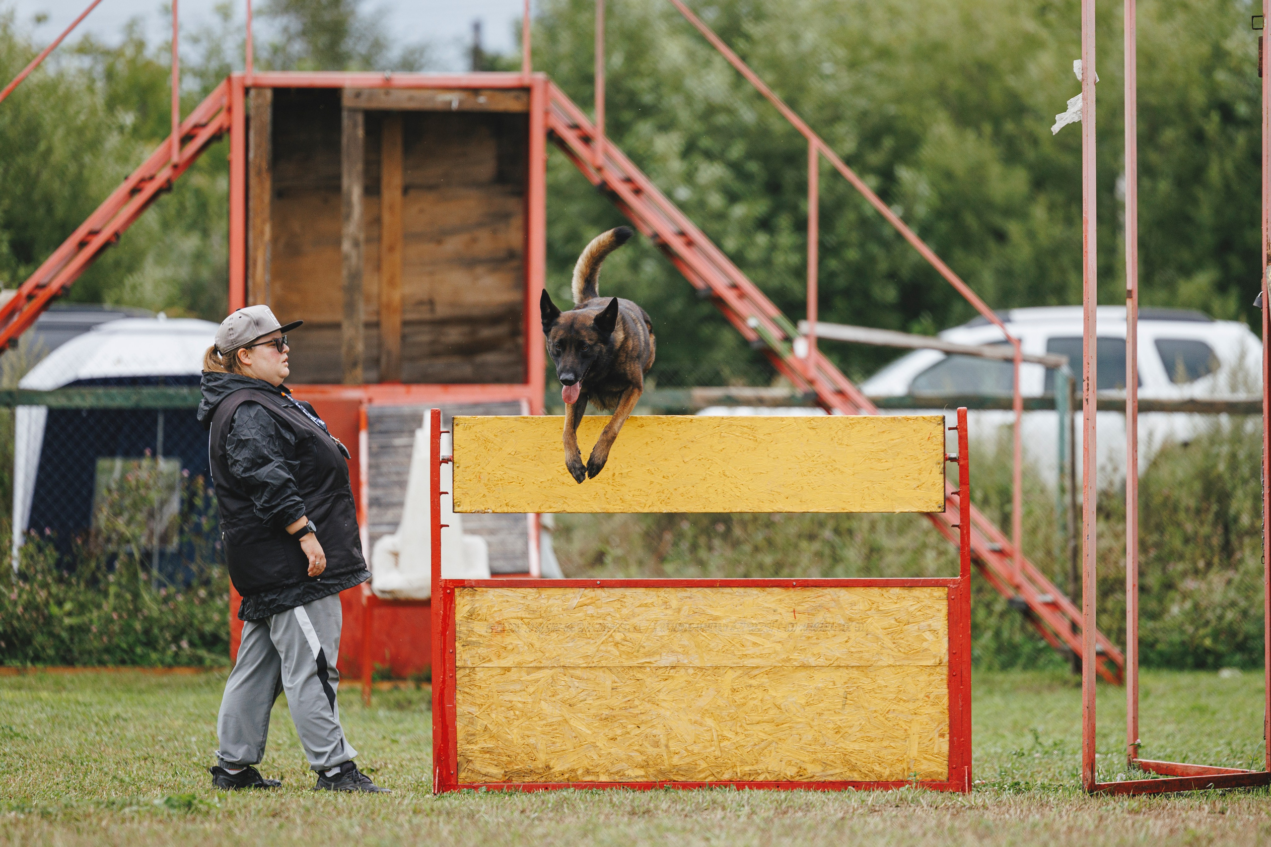 08.08.25-10.08.25 ЧР по мондьорингу г. Вологда. Фотограф-анималист Анна Маринич