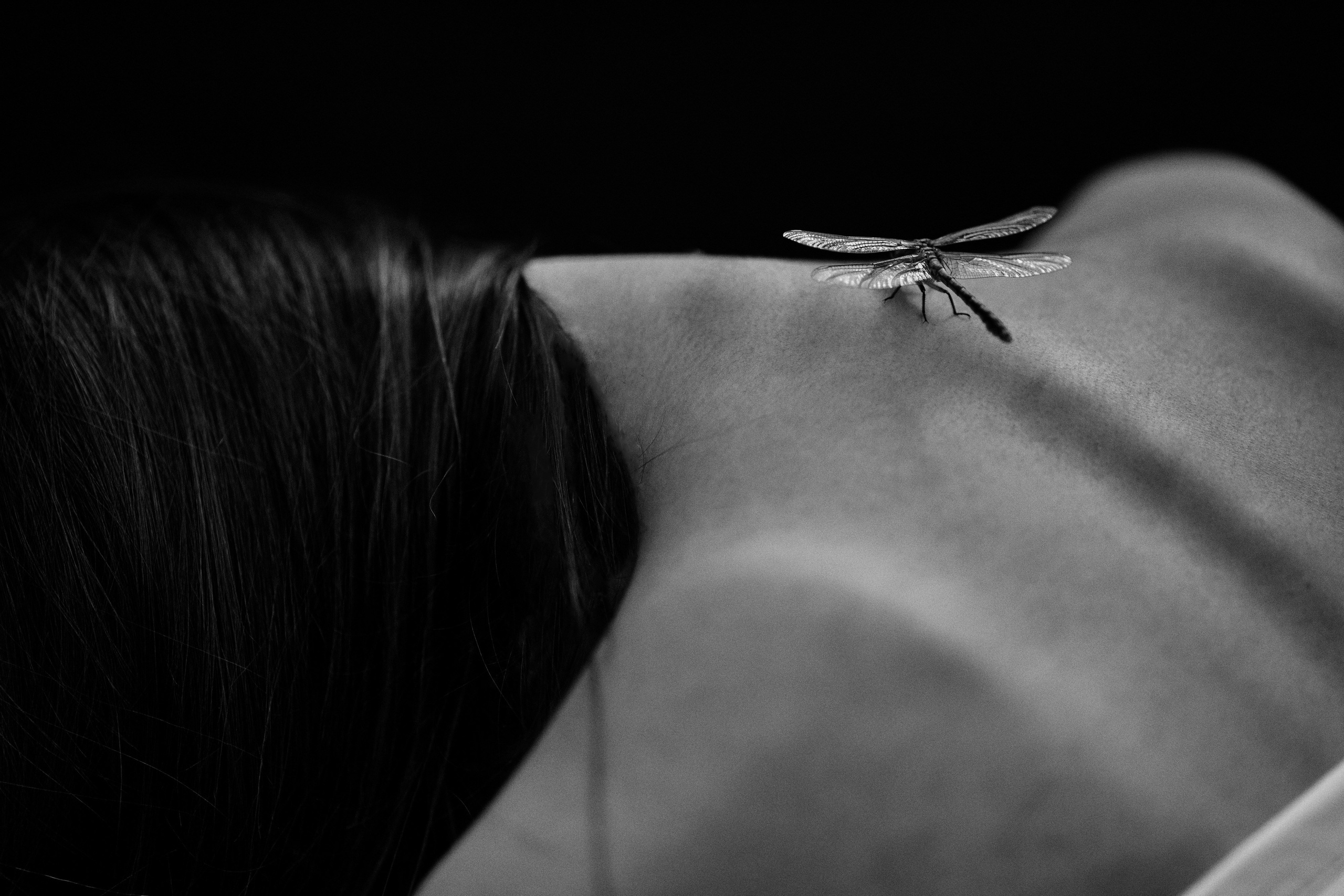 Фотосессия Love Story — романтичные снимки для влюбленных | Дмитрий Мазуркевич. Дмитрий Мазуркевич: Профессиональный Репортажный Фотограф