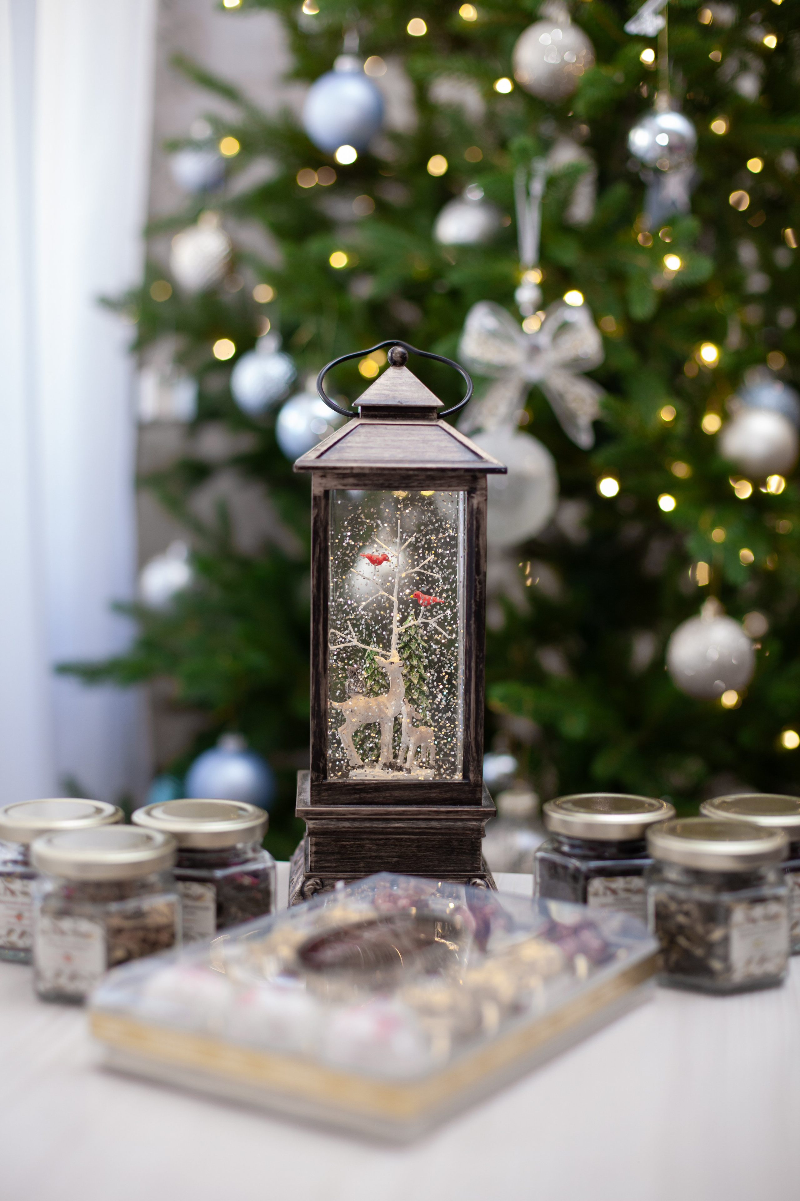 Домашняя. Фотограф в Томске Евгения Гуляева