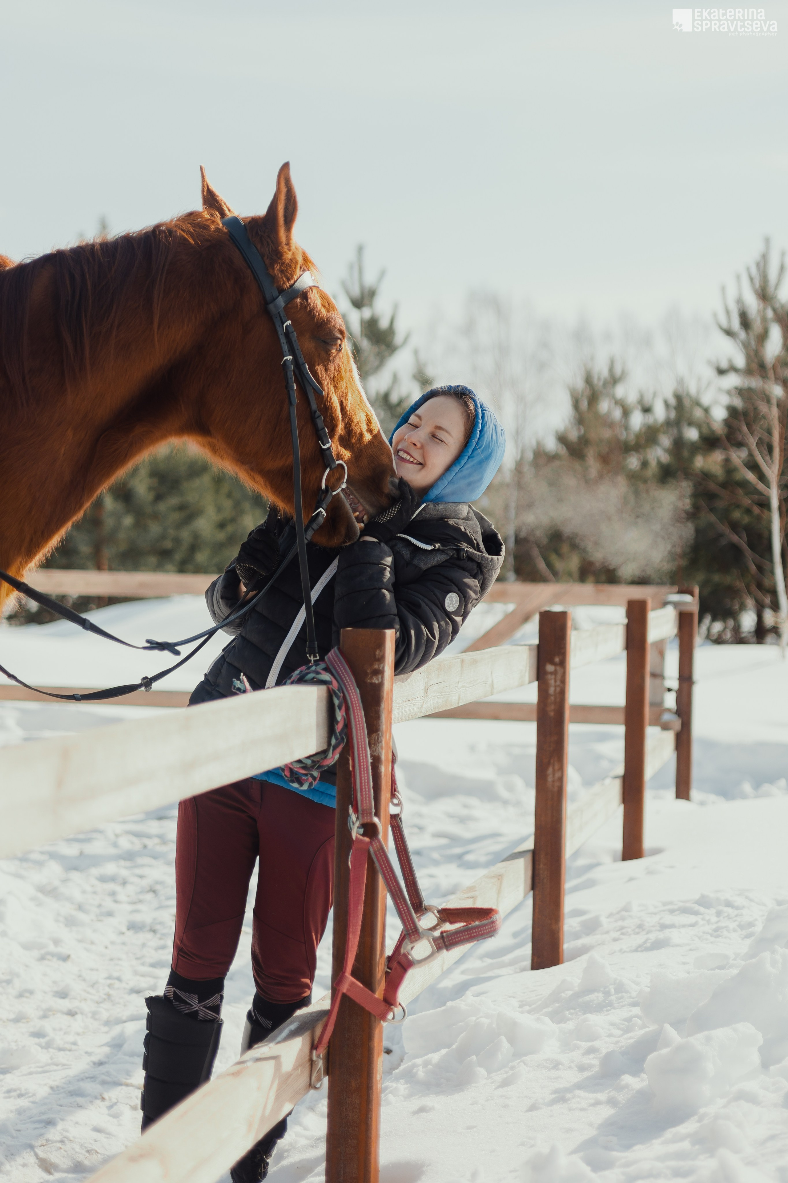 Екатерина Справцева фотограф анималист - портфолио фото. Фотограф Анималист Екатерина Справцева в Нижнем Новгороде