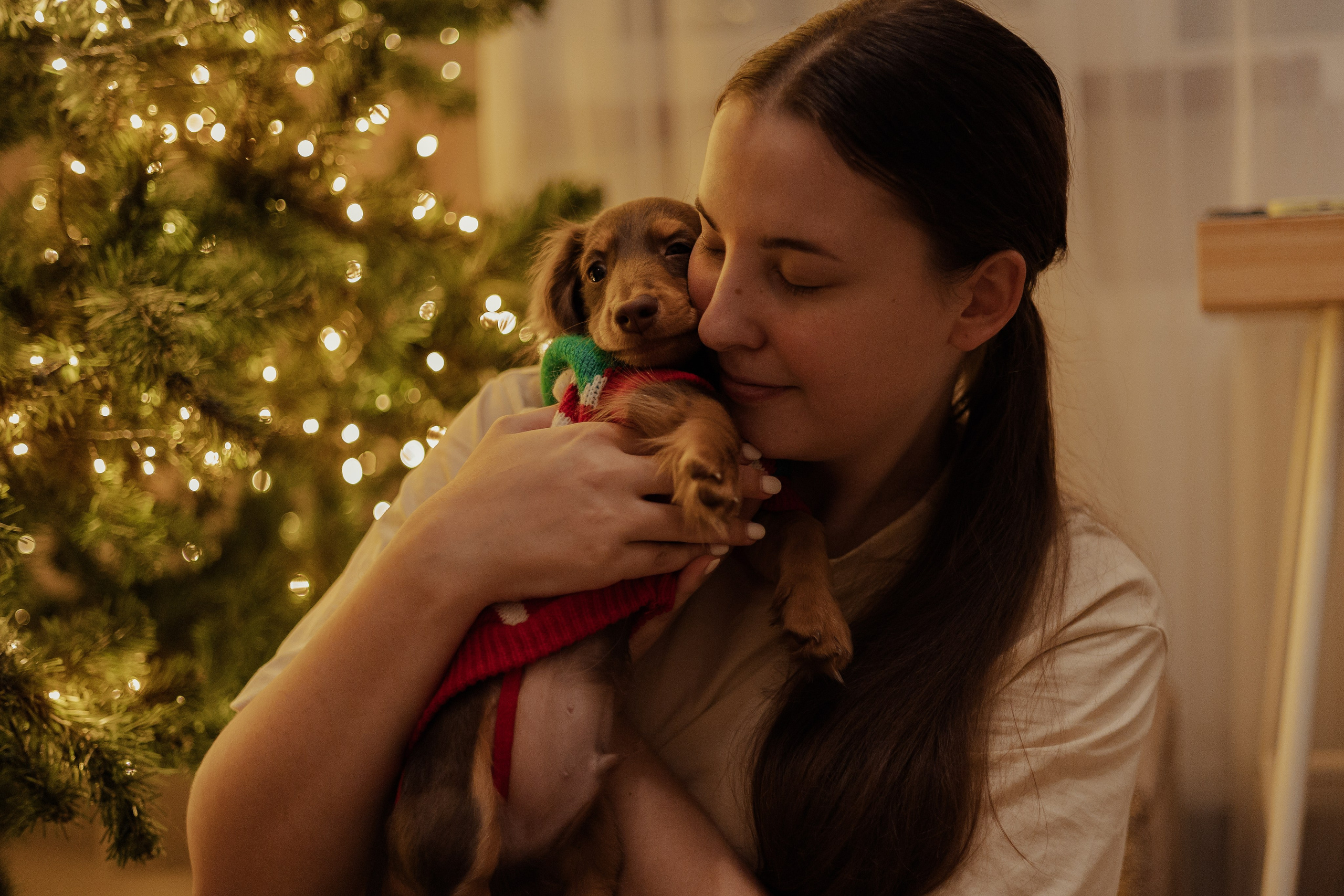 Новогодний Джем. Фотограф Анималист Екатерина Справцева в Нижнем Новгороде