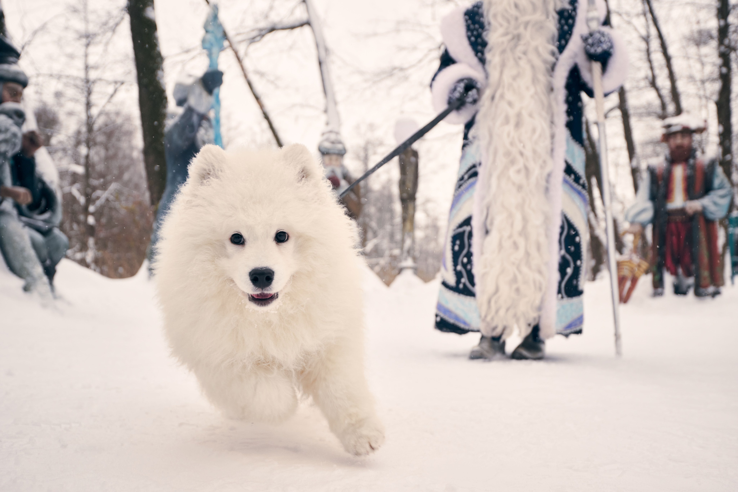 Дед Мороз с Платоном. Никита Хохловский фото и видео продакшн