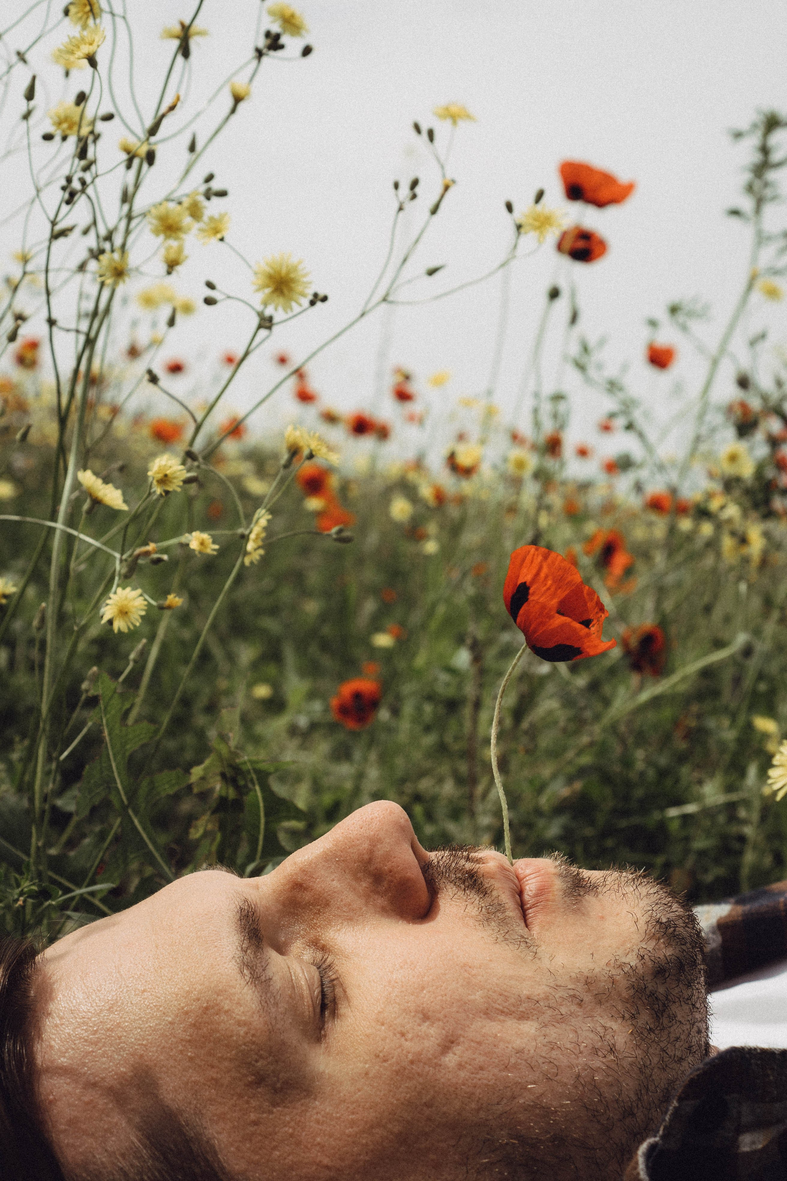 Маки. Профессиональный фотограф, Санкт-Петербург — Виктория Богомолова
