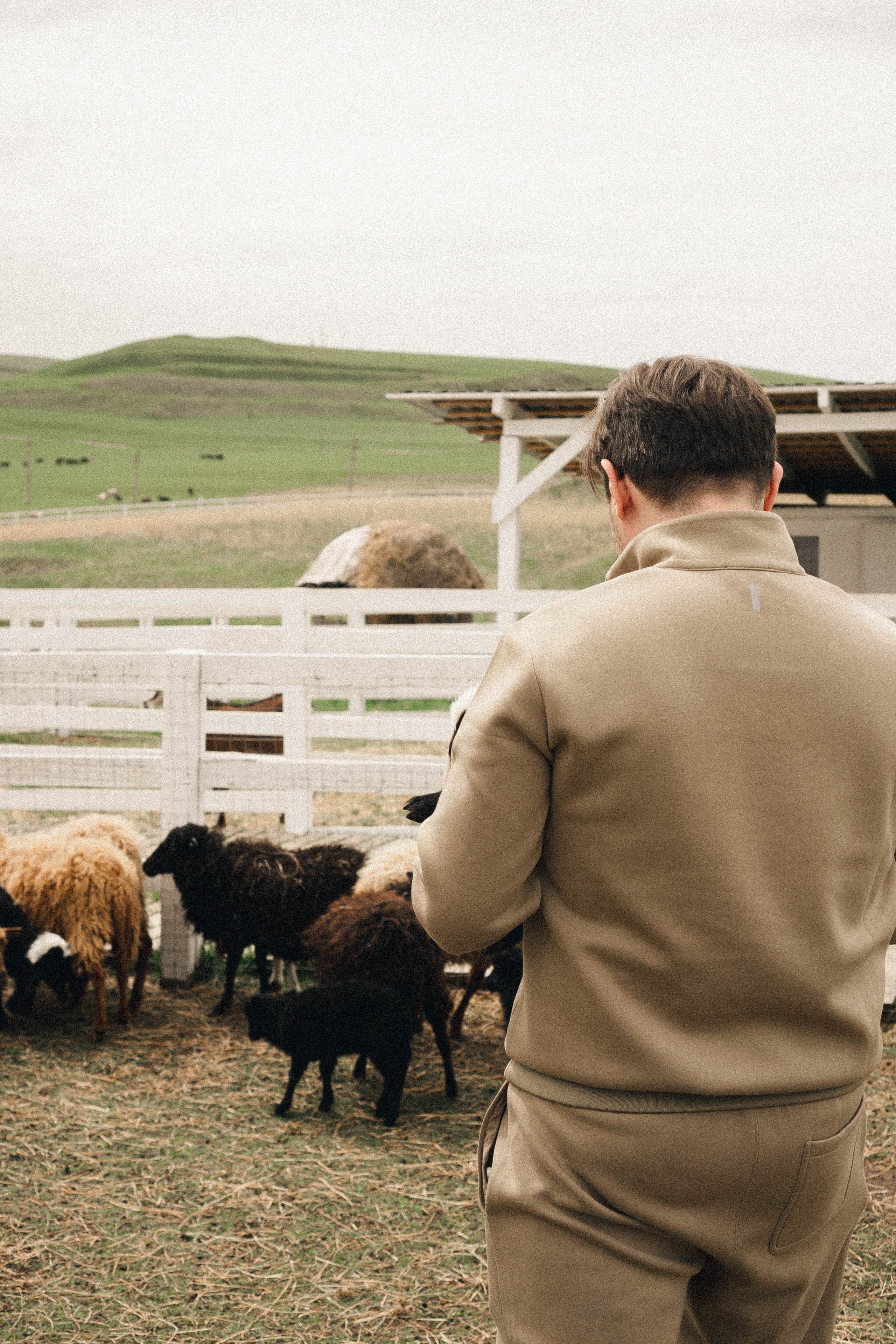 Ферма Альпак. Профессиональный фотограф, Санкт-Петербург — Виктория Богомолова