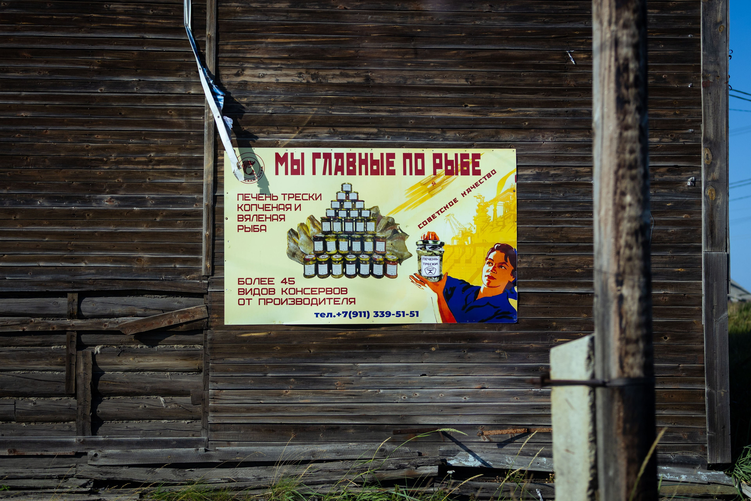 Кольский (осень 2025). Фотограф Виноградов Константин