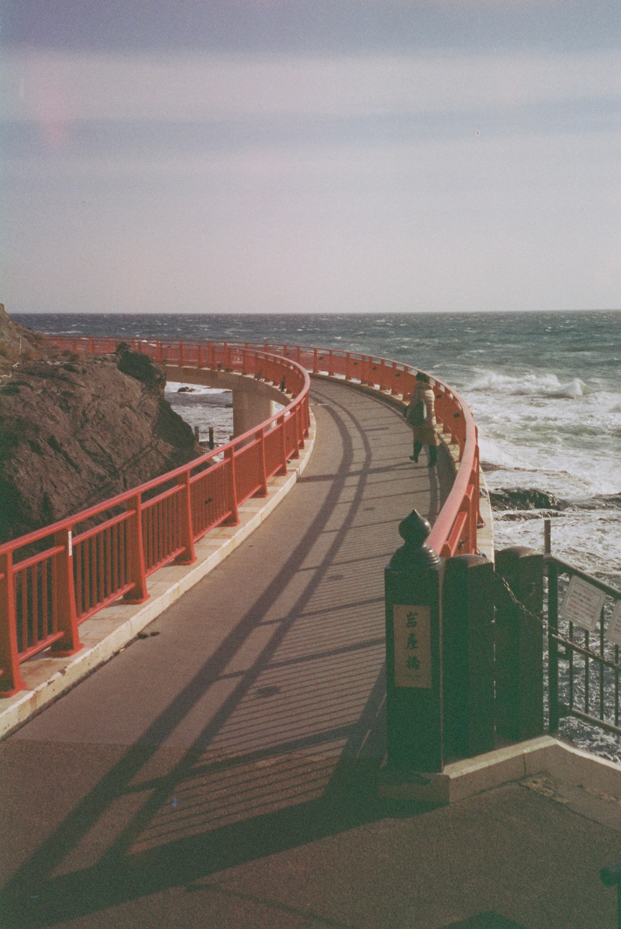 Пленка. Фотограф Алина Диева Москва | Токио