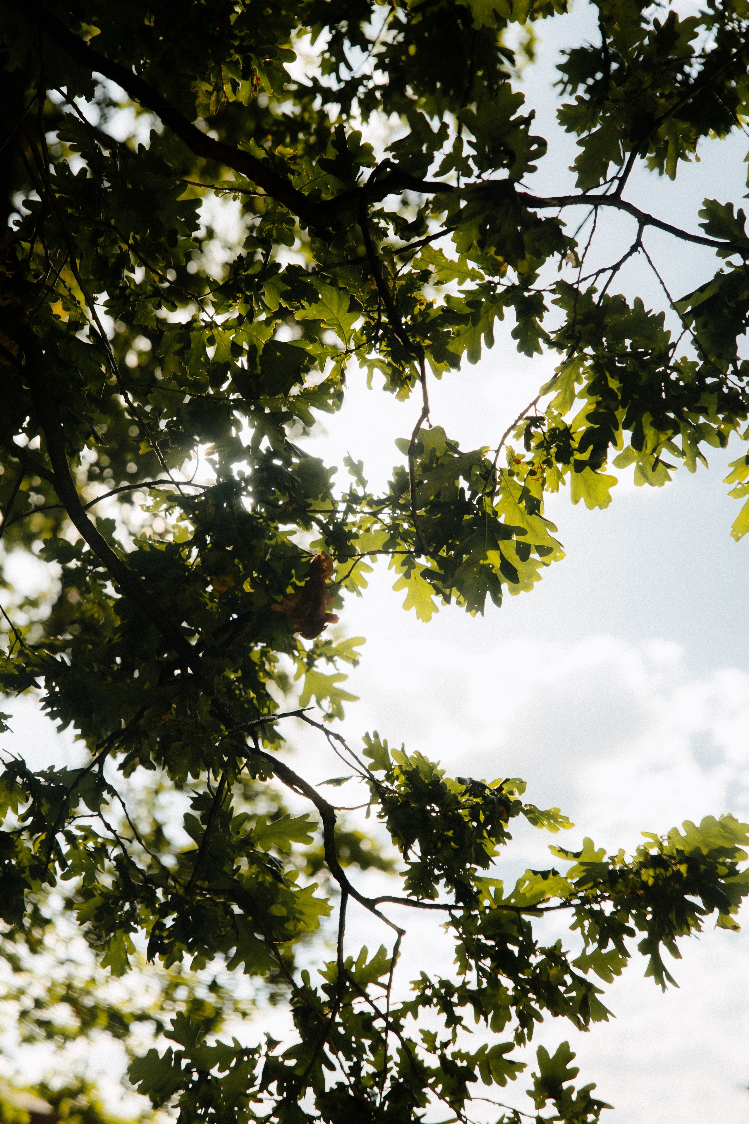 Ирина и Александр. Алена Бадамшина — свадебный фотограф Воронеж / Москва