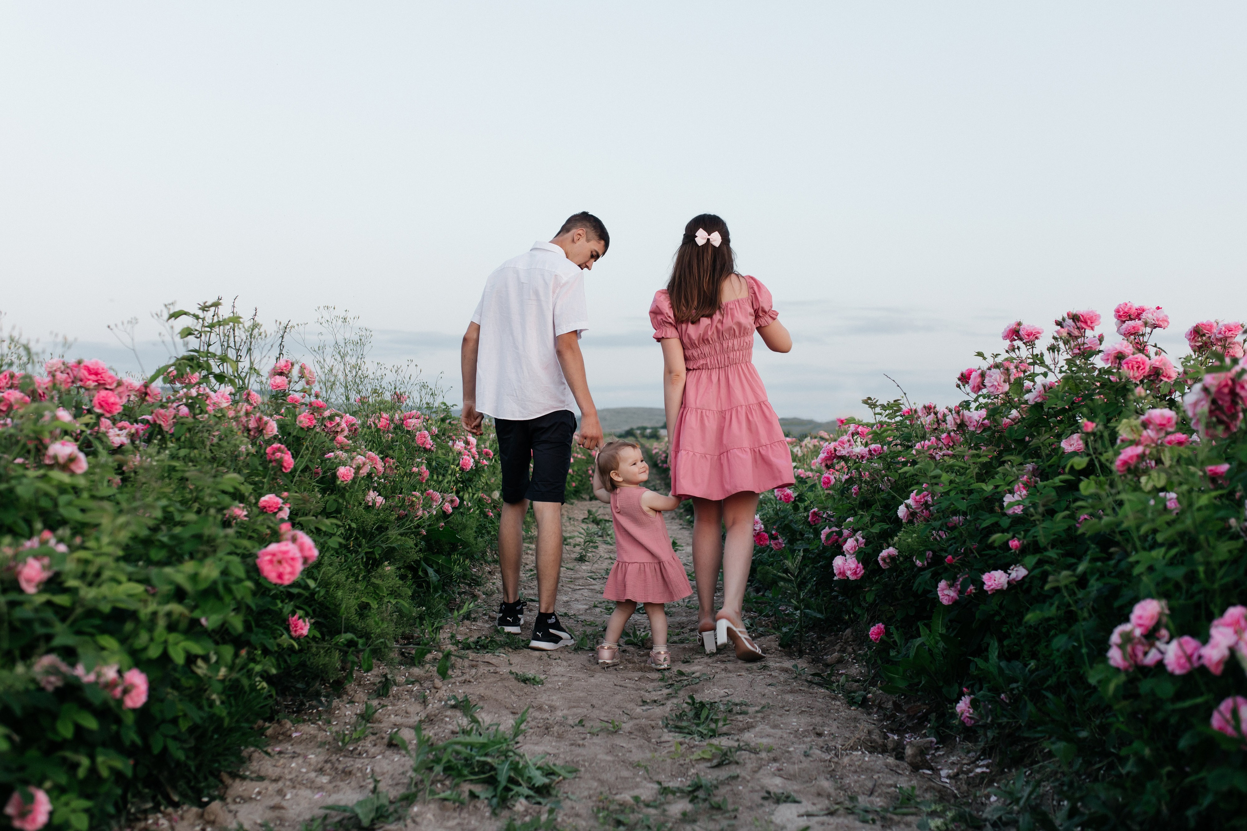 Rose. ФОТОГРАФ