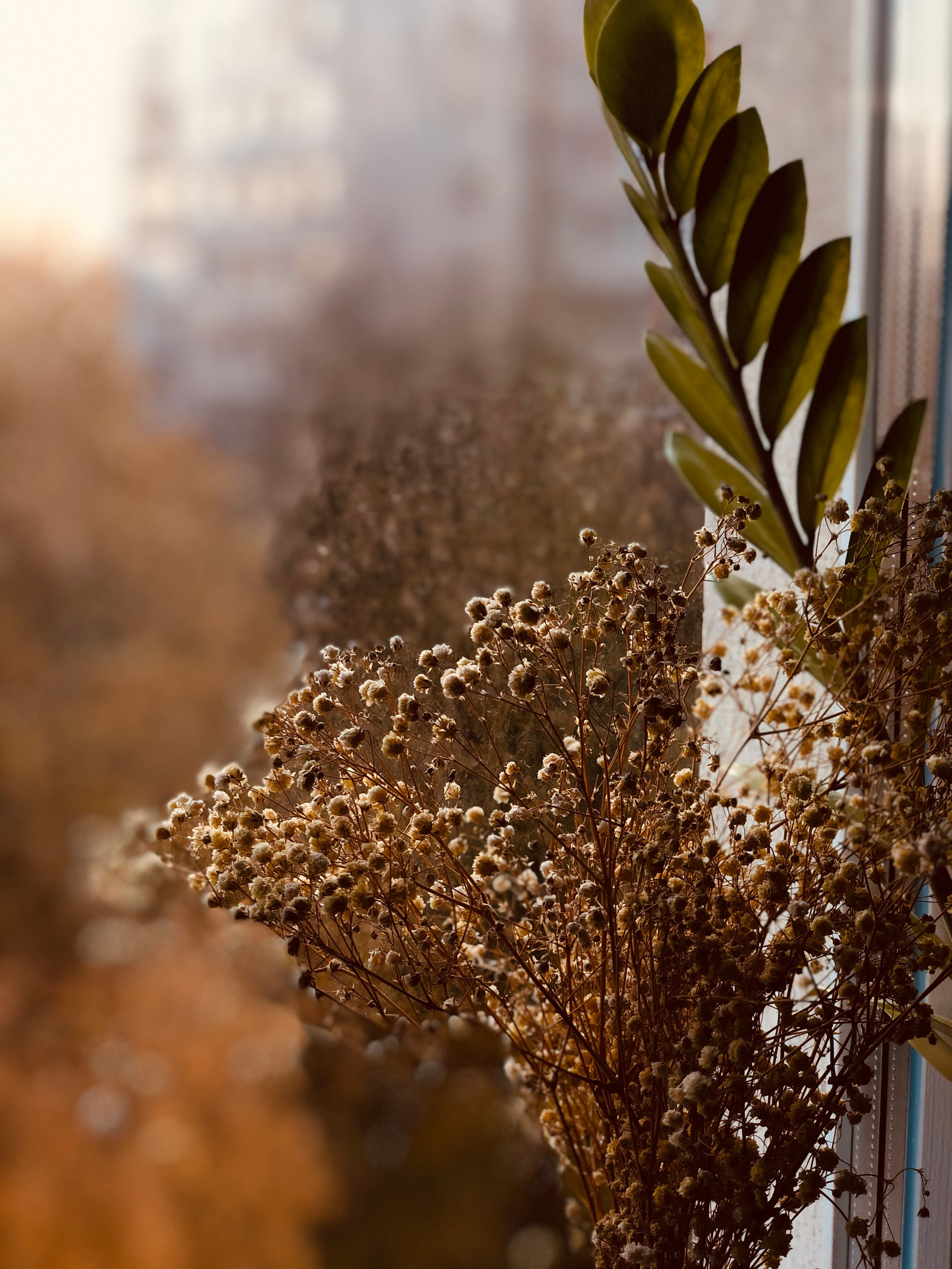 Октябрь. Семейный, Свадебный фотограф СПБ Питер— Романова Екатерина