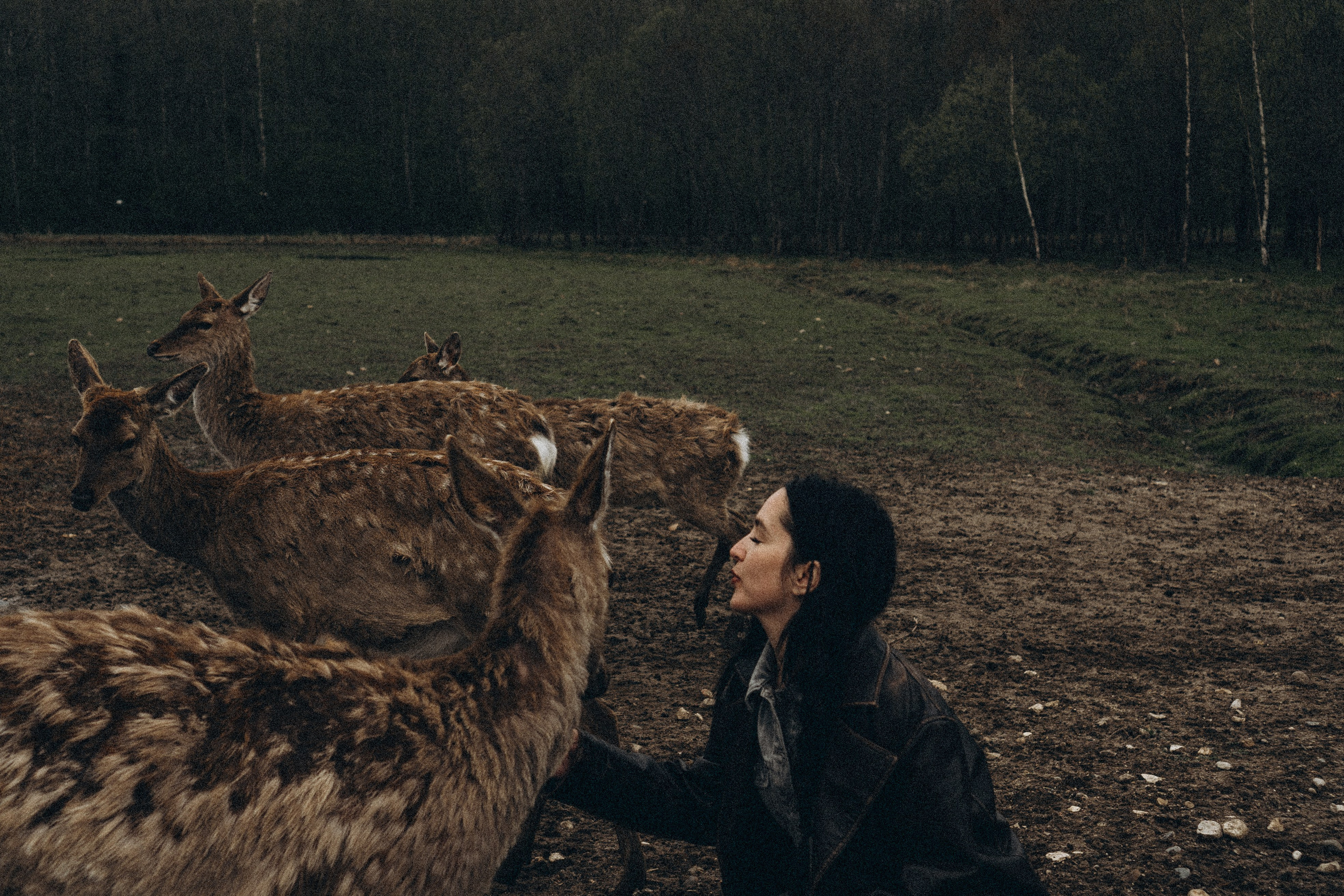 ОЛЕНЬЯ ФЕРМА В ТВЕРИ. Профессиональный фотограф, Санкт-Петербург — Виктория Богомолова