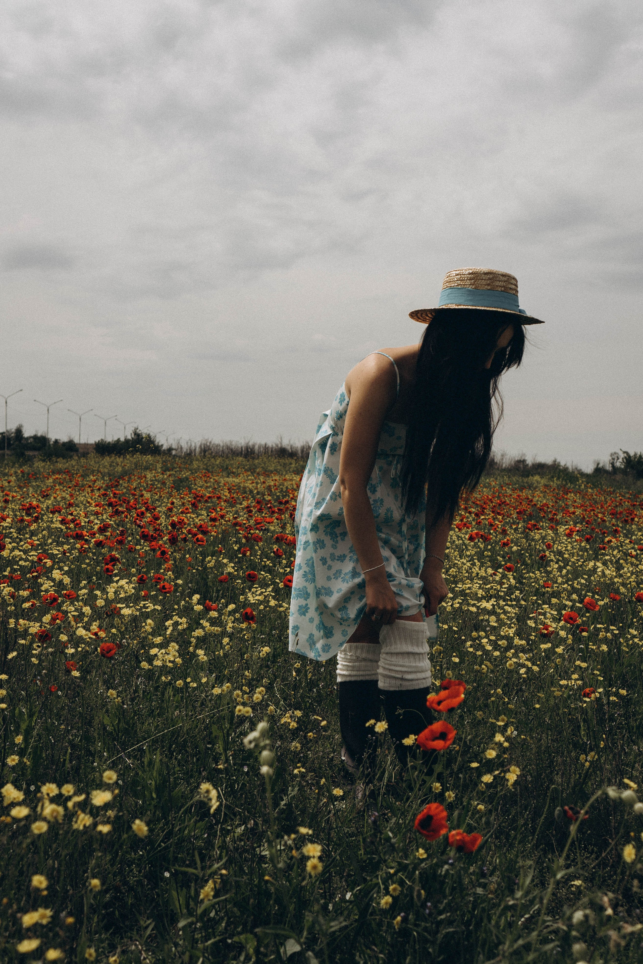 Цветочная поляна. Профессиональный фотограф, Санкт-Петербург — Виктория Богомолова
