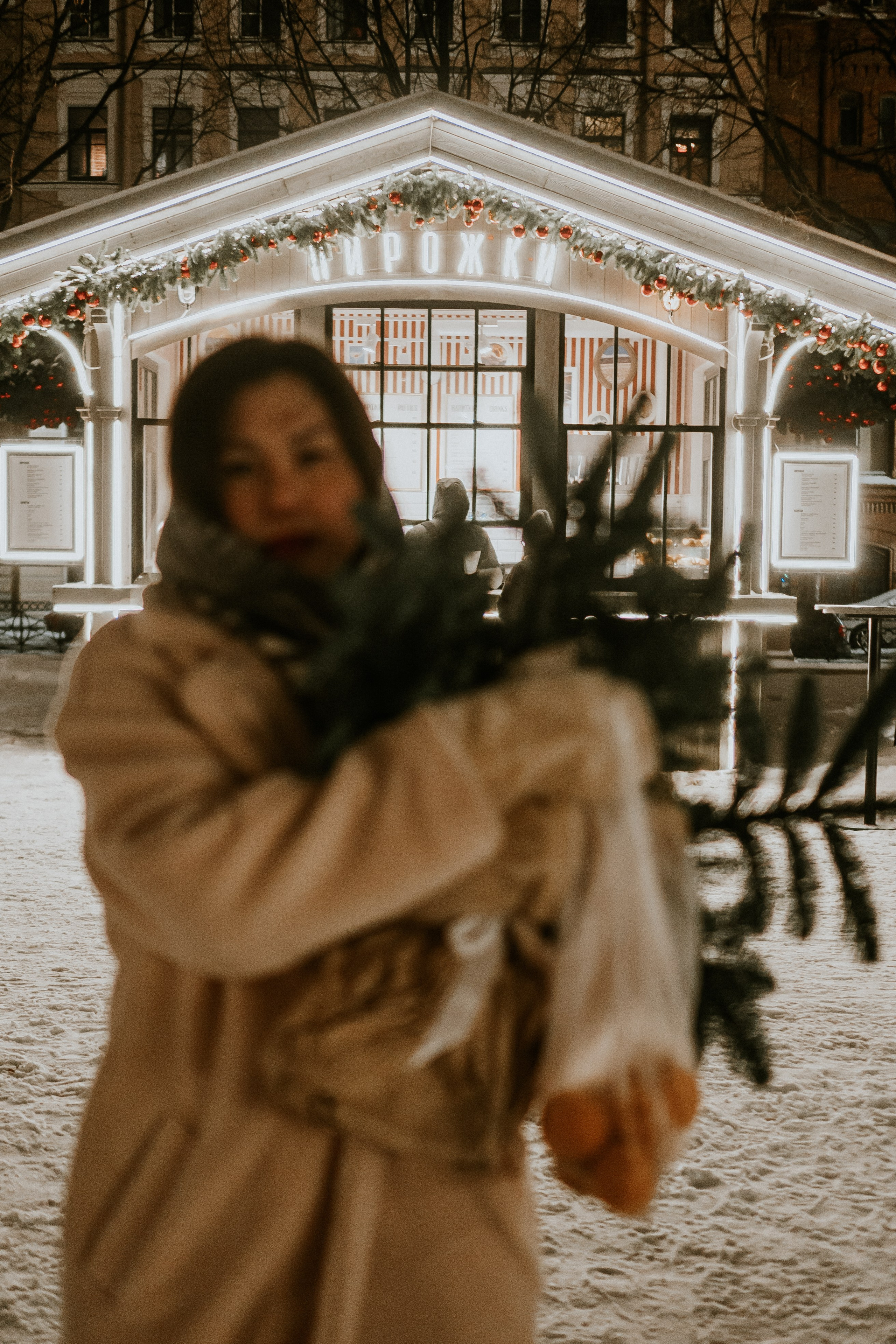 Зимняя сказка в Новой Голандии. Профессиональный фотограф, Санкт-Петербург — Виктория Богомолова