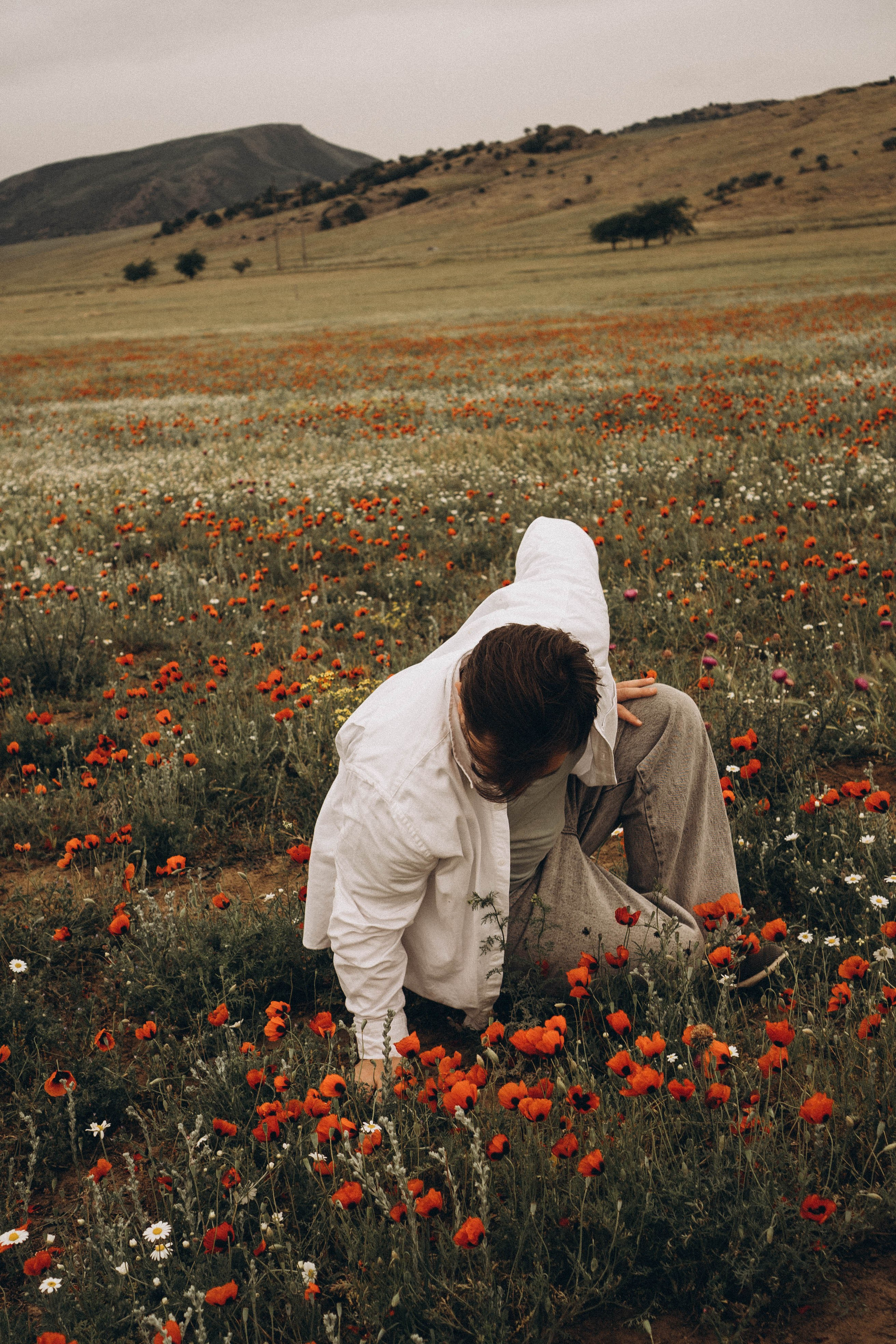 Маки. Профессиональный фотограф, Санкт-Петербург — Виктория Богомолова