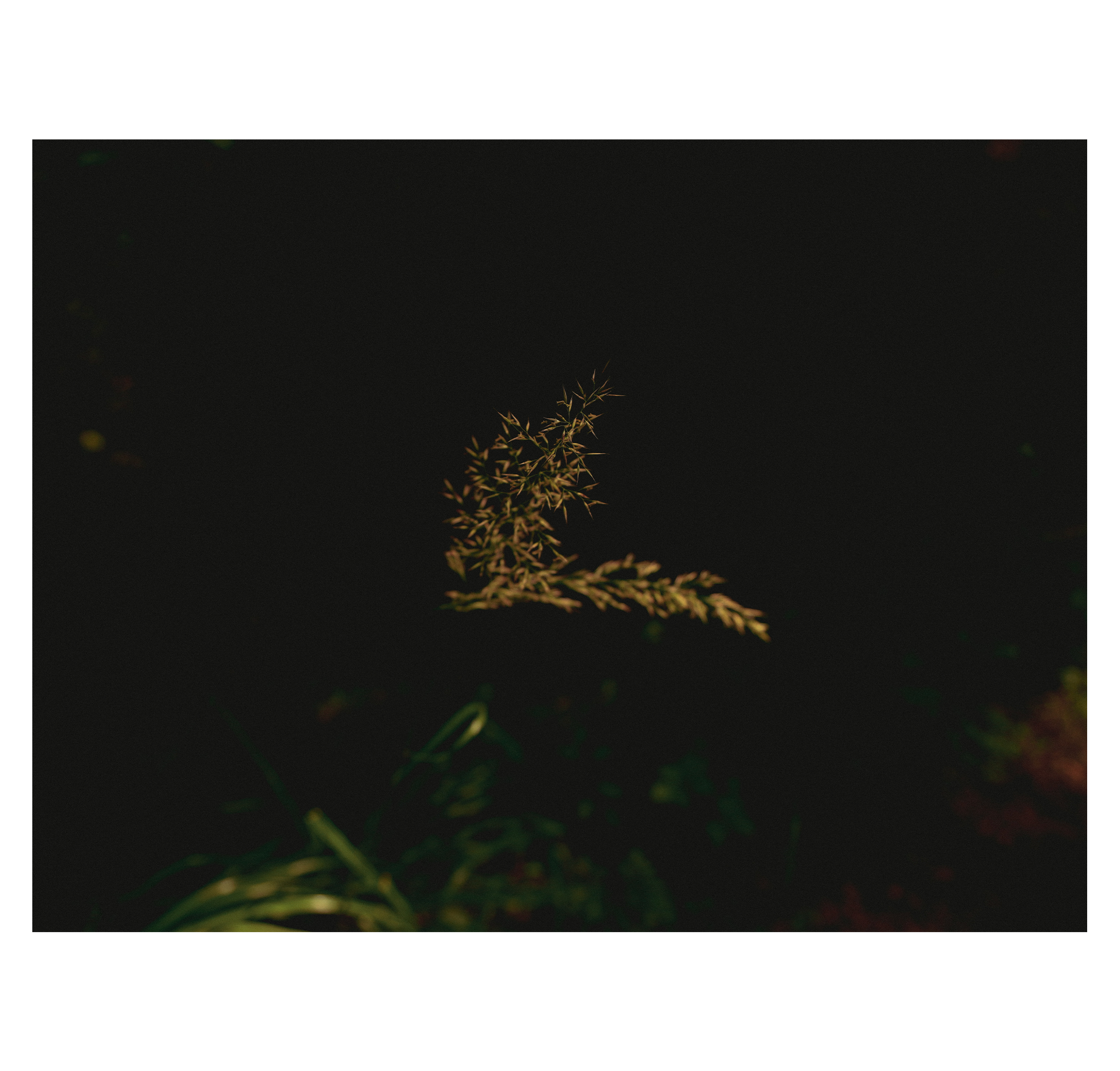 Summer hike. Фотограф/дизайнер в Екатеринбурге Хитрый Дмитрий