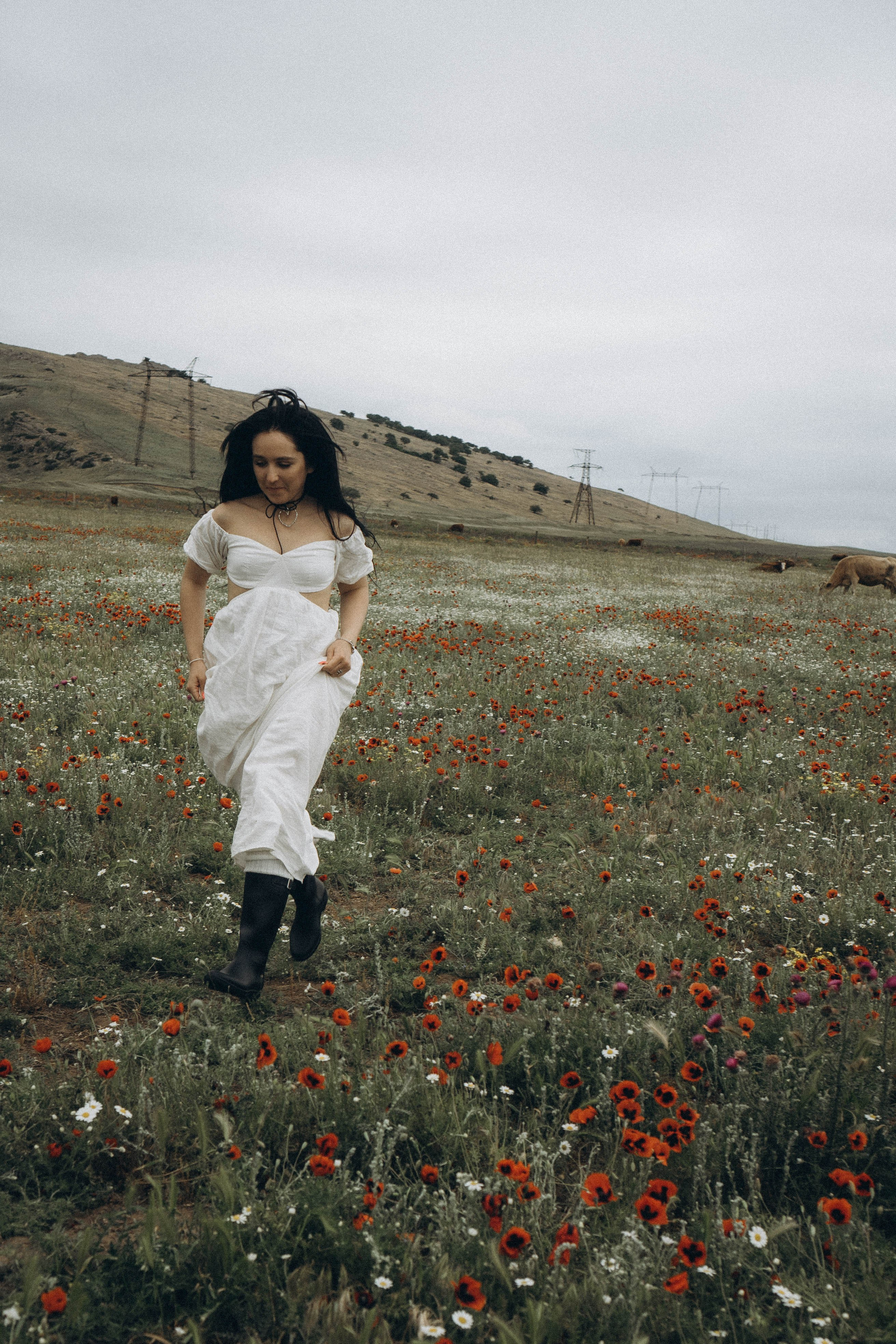 Маковое поле. Профессиональный фотограф, Санкт-Петербург — Виктория Богомолова