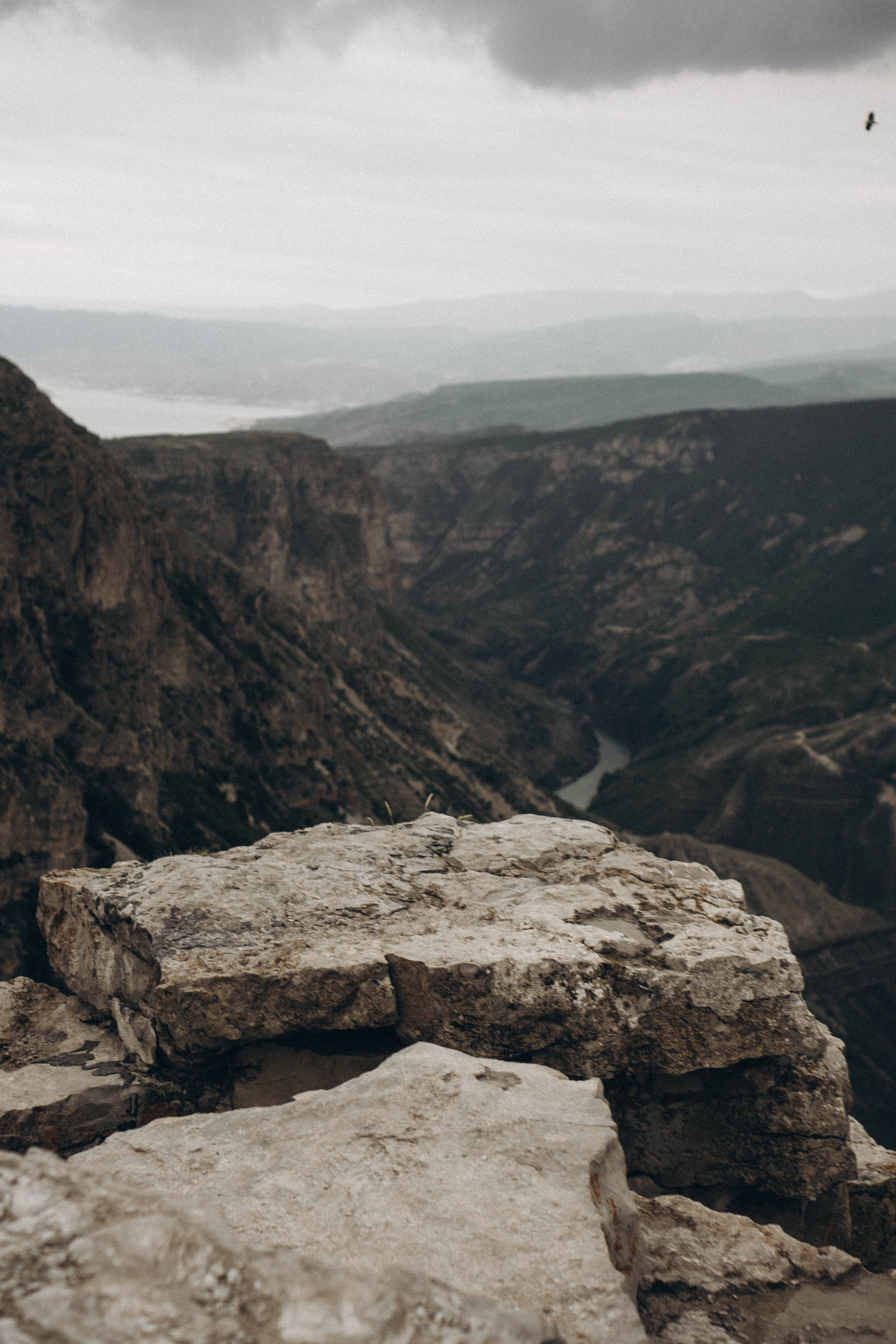 Кавказ. Профессиональный фотограф, Санкт-Петербург — Виктория Богомолова