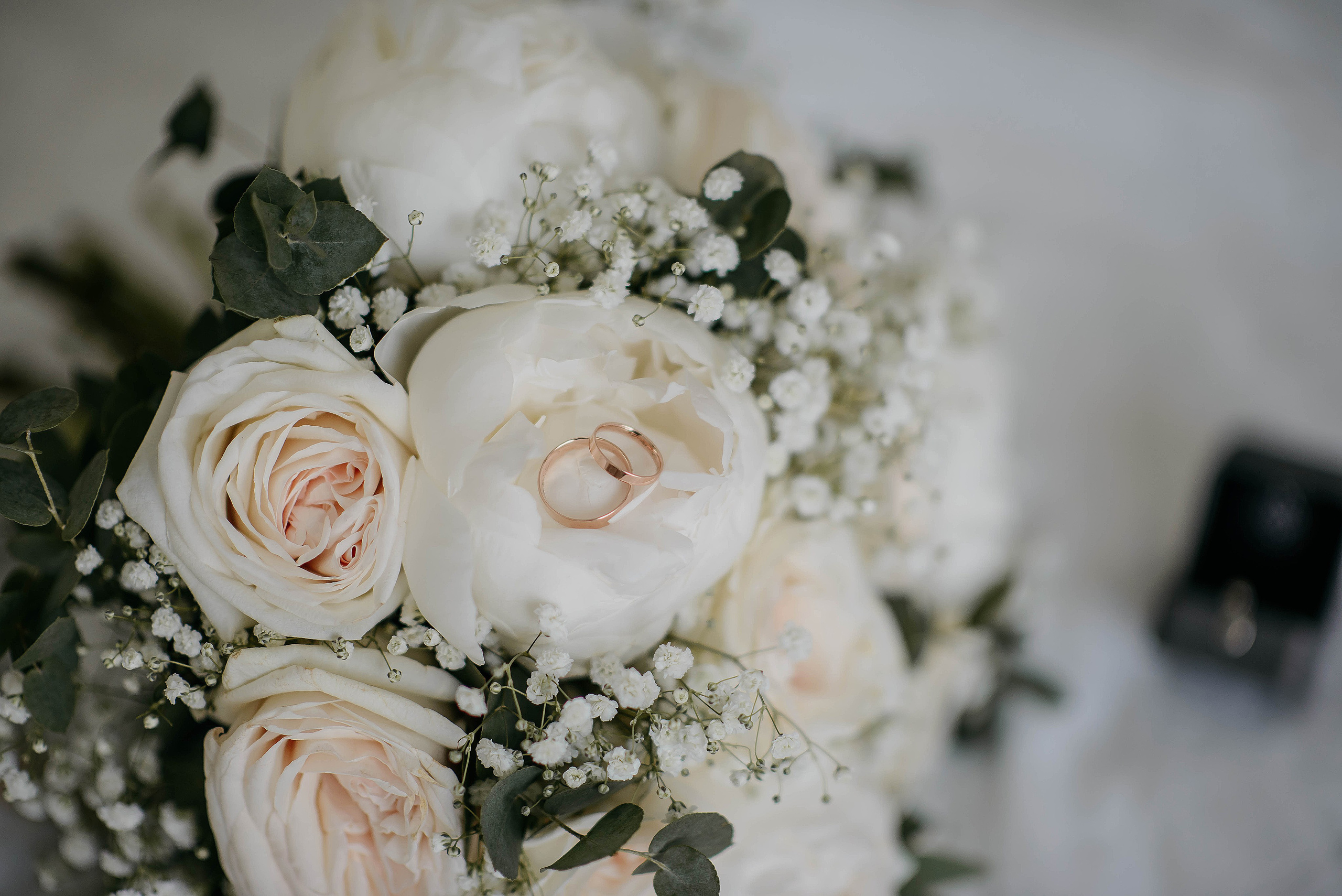 07.06.24. Свадебный и семейный фотограф в г. Москва Ирина Гаврилова