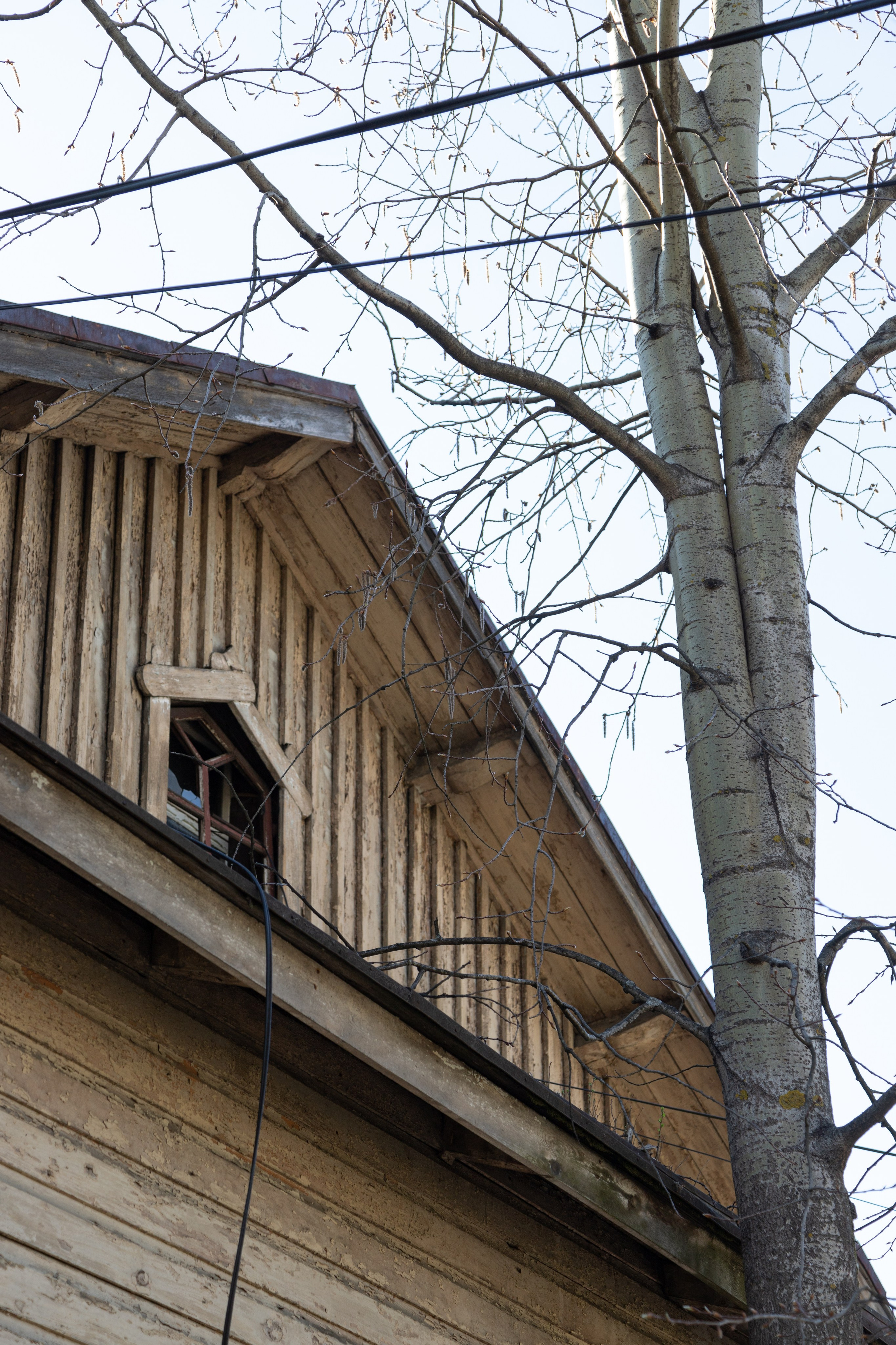 Сортавала. Интерьерный и архитектурный фотограф Солодова Алина