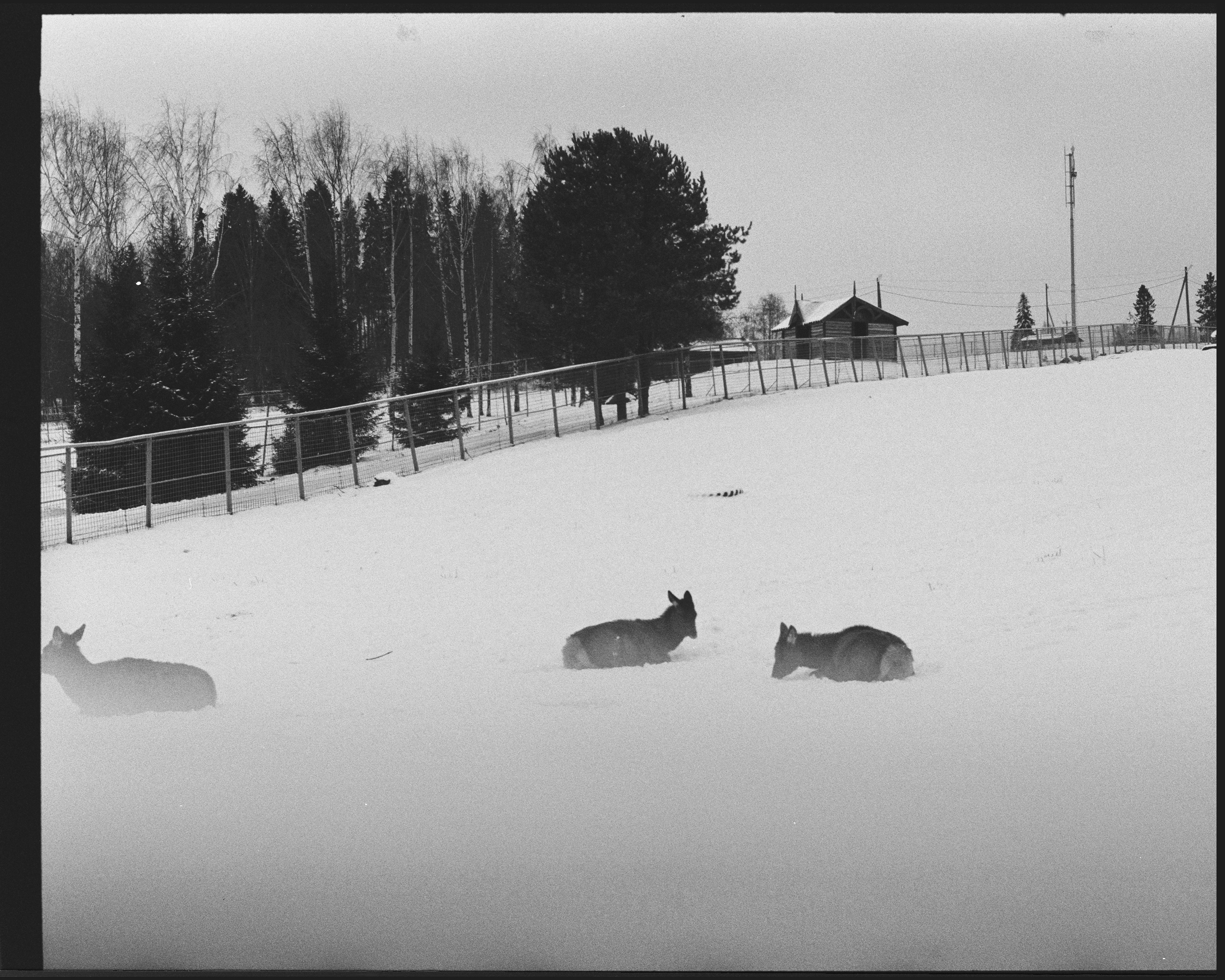 KARELIA. ANNA — PHOTOGRAPHER