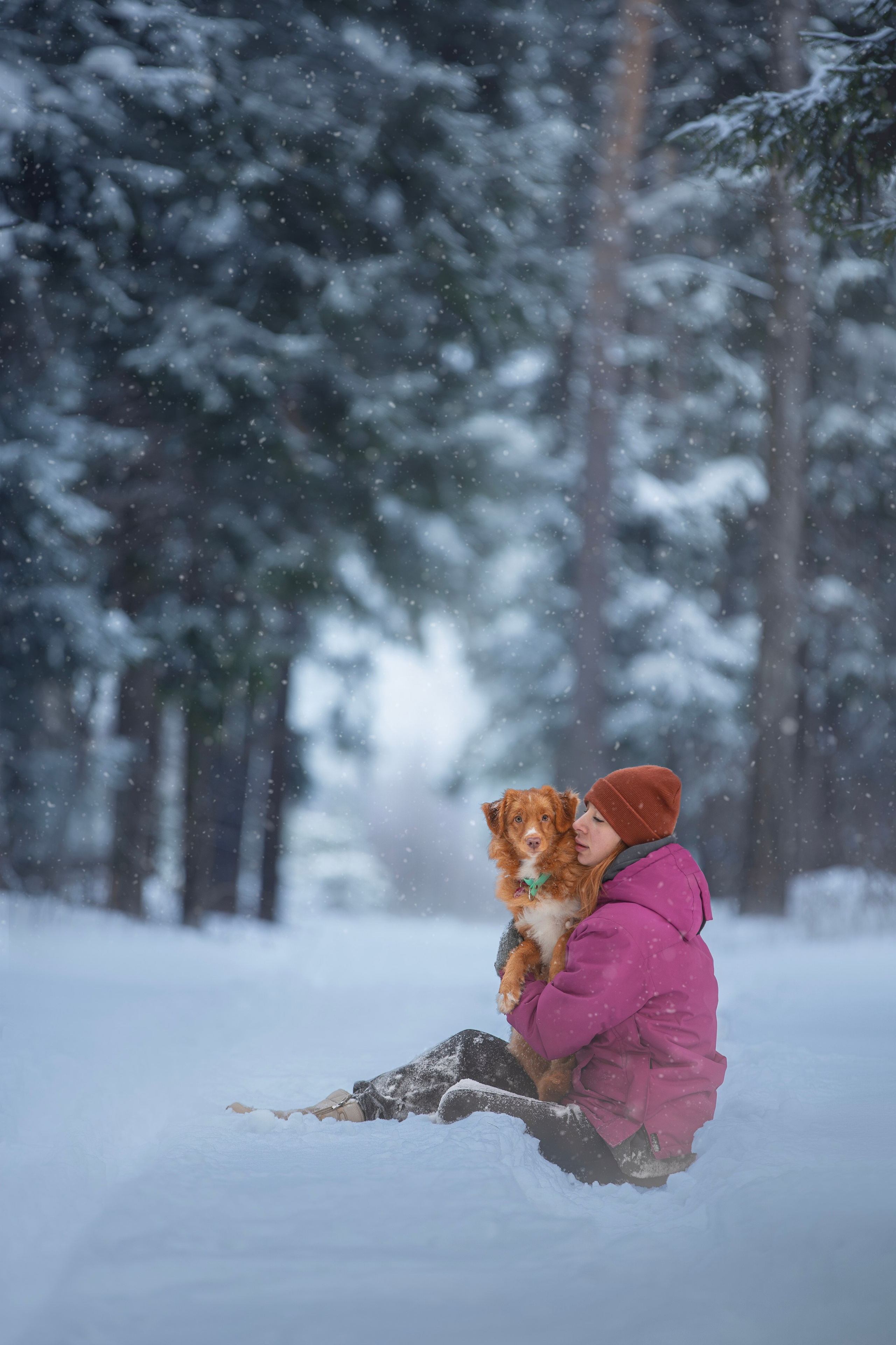 Руби, Николь, Кирилл и Мила. Фотограф анималист в Москве Майорова Евгения