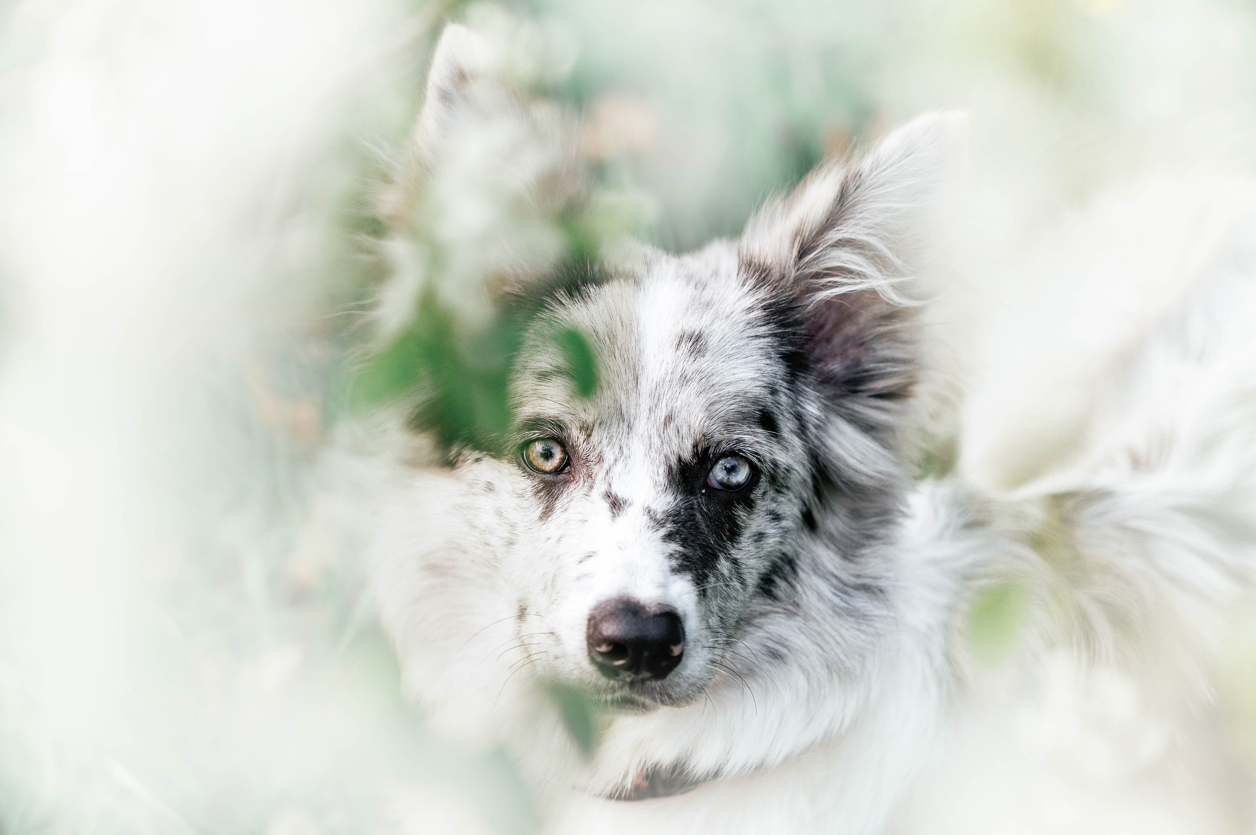 Весна на ВДНХ. Фотограф-анималист