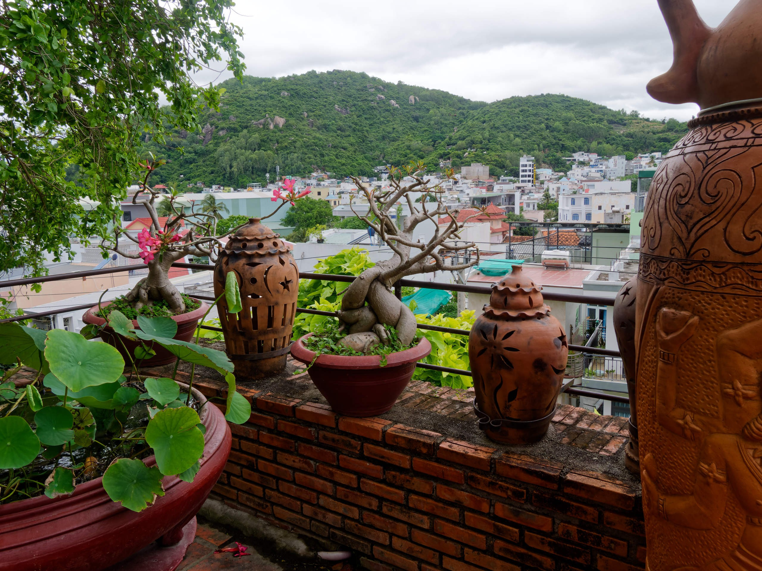 Нячанг 2025 (4). Избранные фотографии