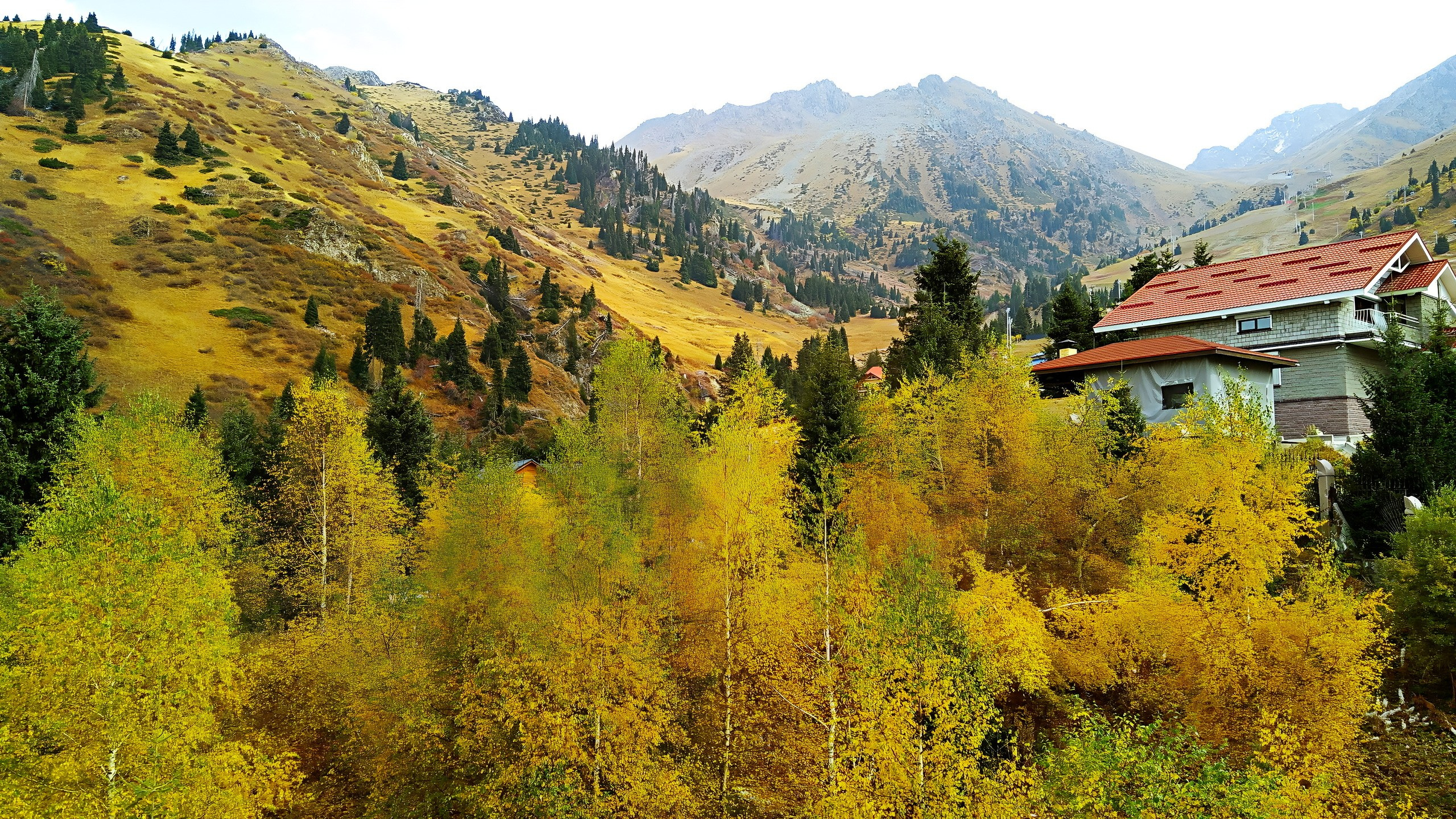 Алма-Ата 2017. Избранные фотографии