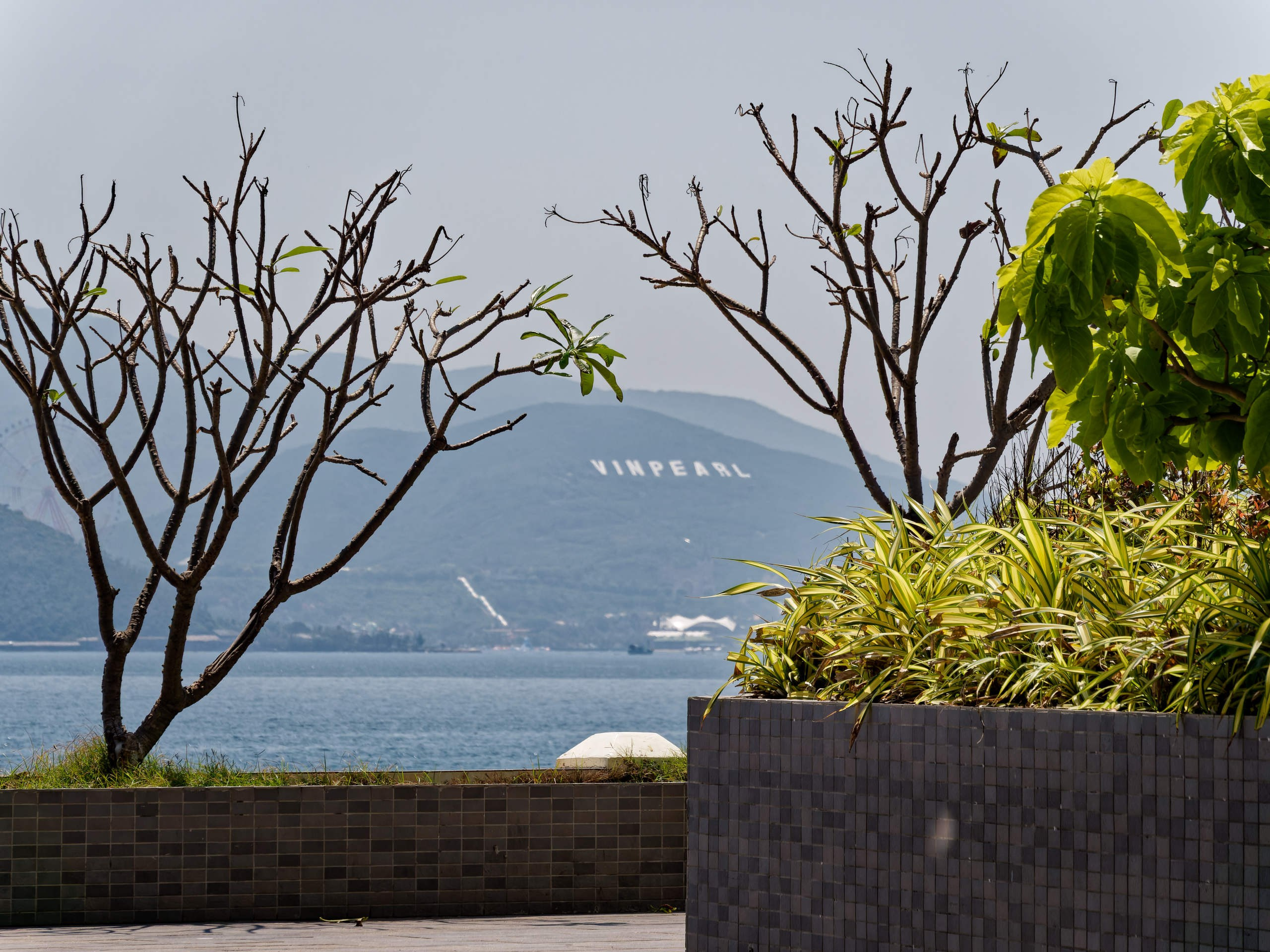 Нячанг 2025 (1). Избранные фотографии