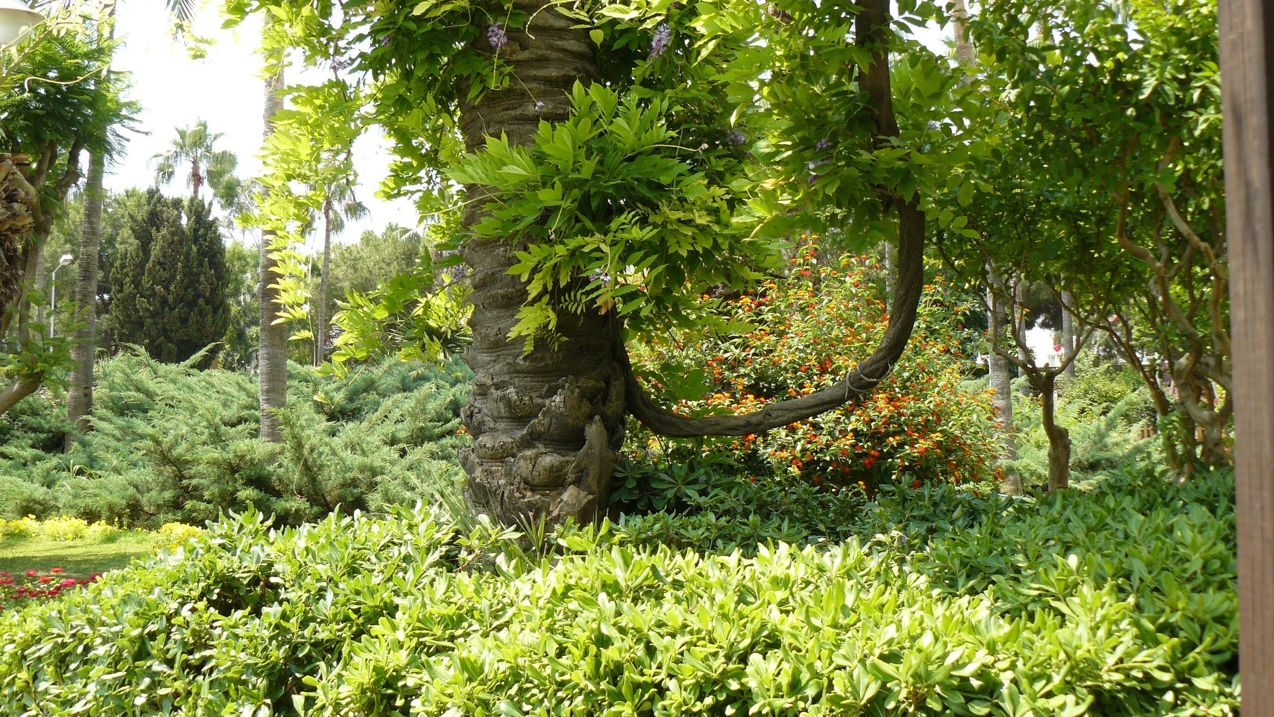 Алания 2015 порт и парк. Фотопрогулки по Миру