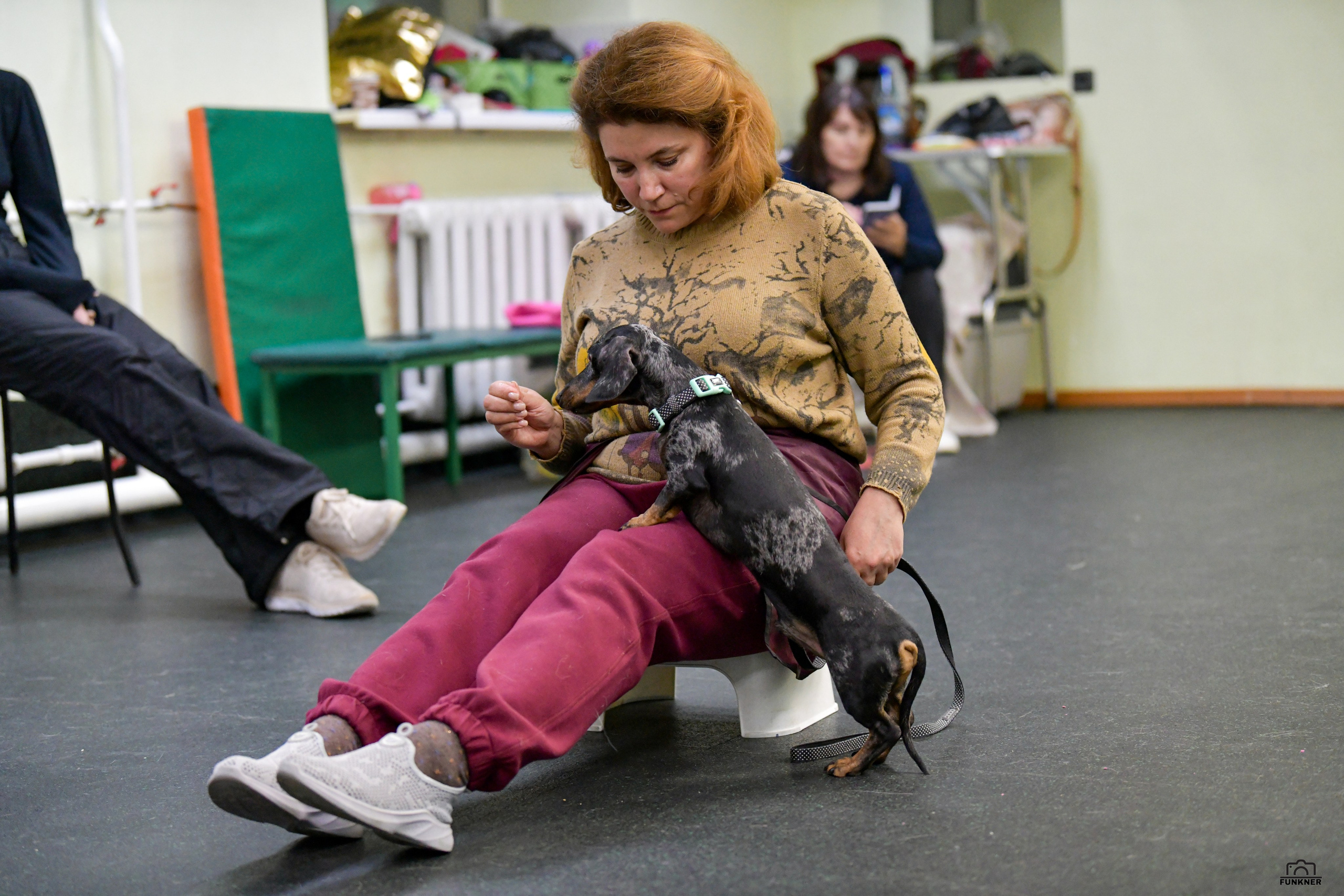 Кинологический клуб «Бодрый хвост». Свой взгляд через объектив