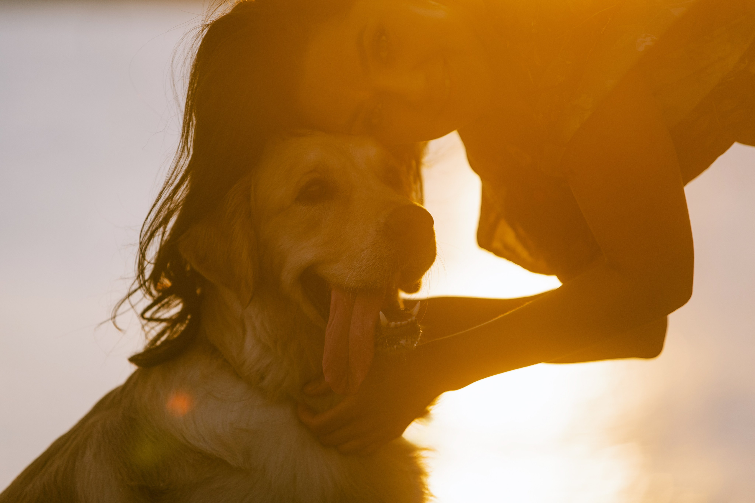 Светлана и Чарли в Нижнем Новгороде. Фотограф Анна Тюрина