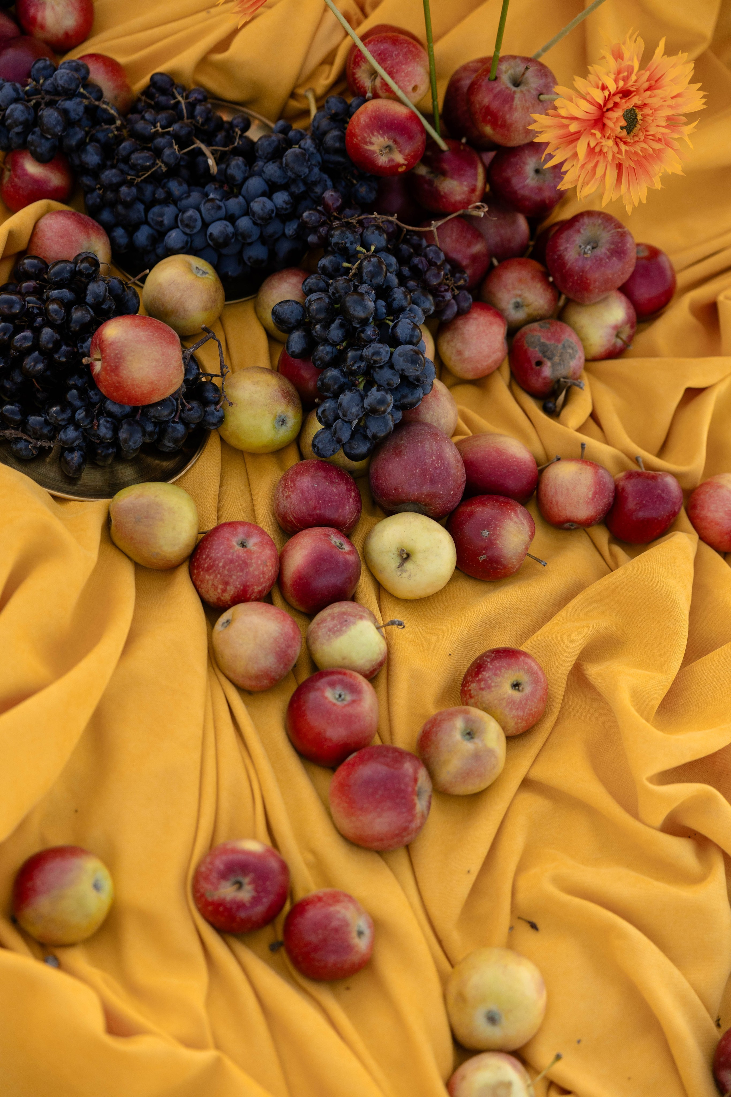 Иван и Лиза. Свадебный и семейный фотограф Евгения Привалова. Новороссийск. Анапа