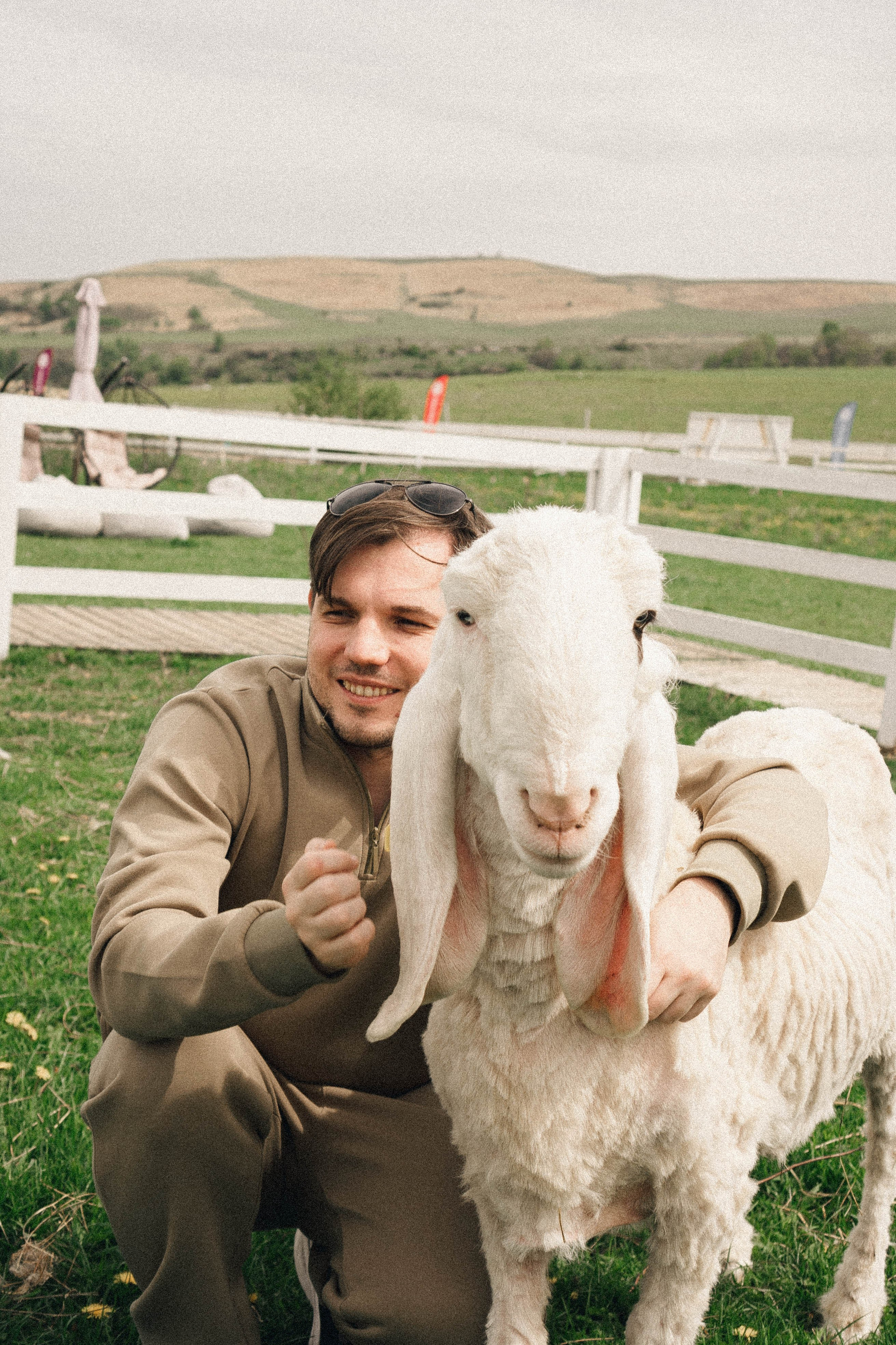 Ферма Альпак. Профессиональный фотограф, Санкт-Петербург — Виктория Богомолова