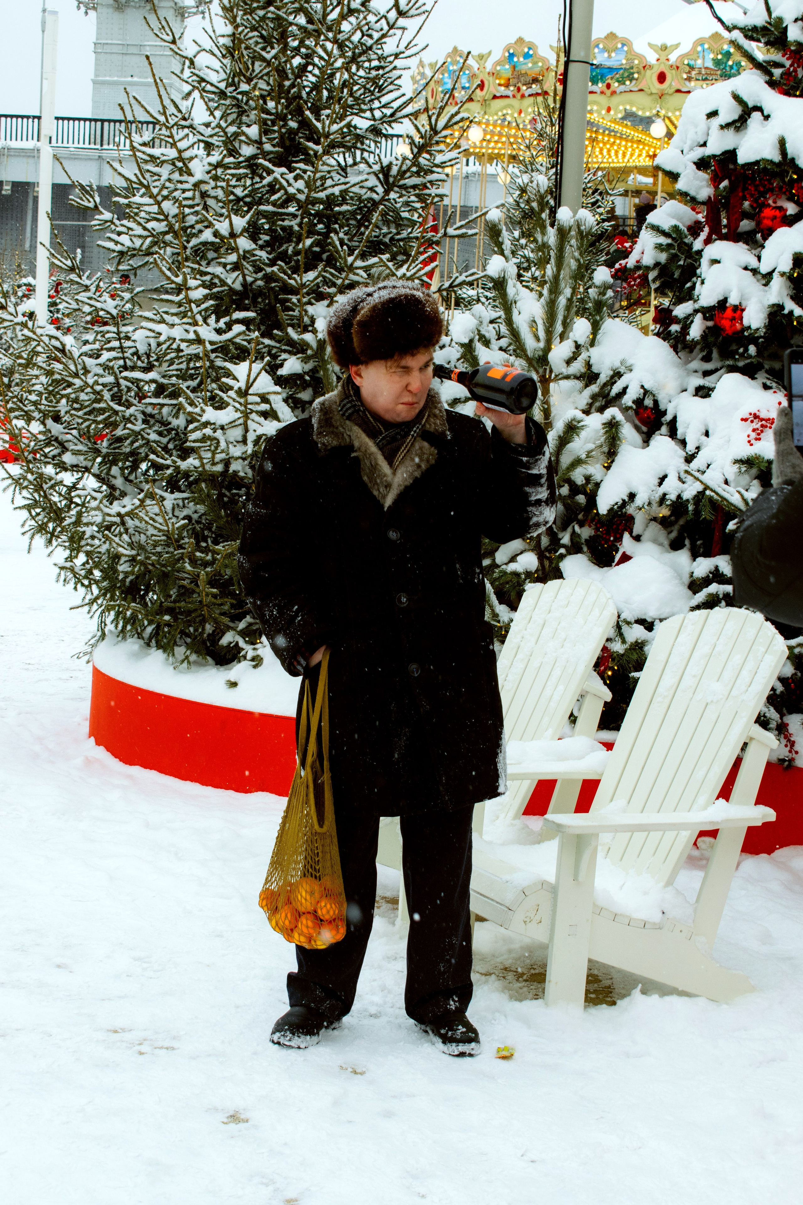 11.01 2026 Фото прогулка в парке Горького. Главная