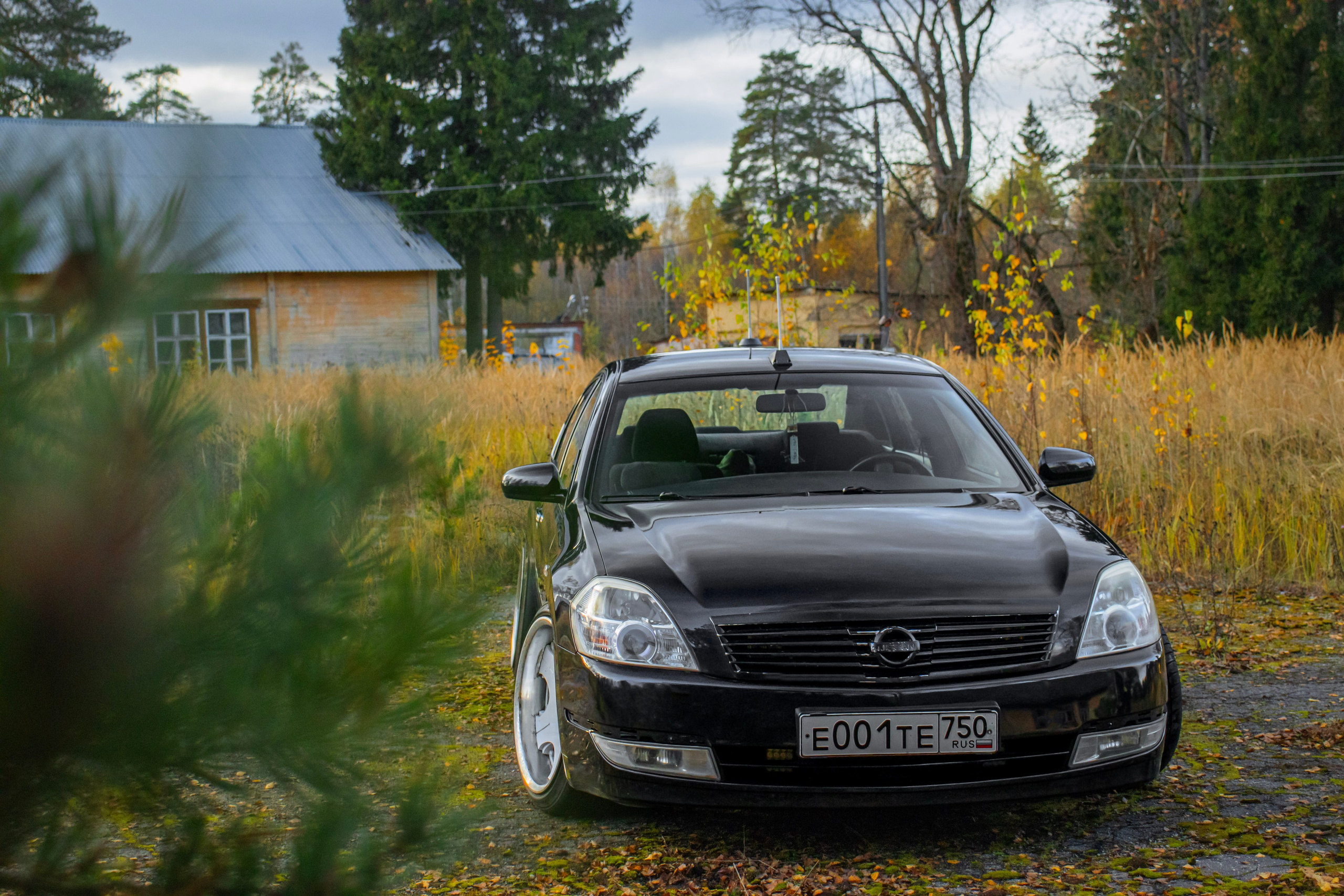 Kia ceed & Nissan Teana J31