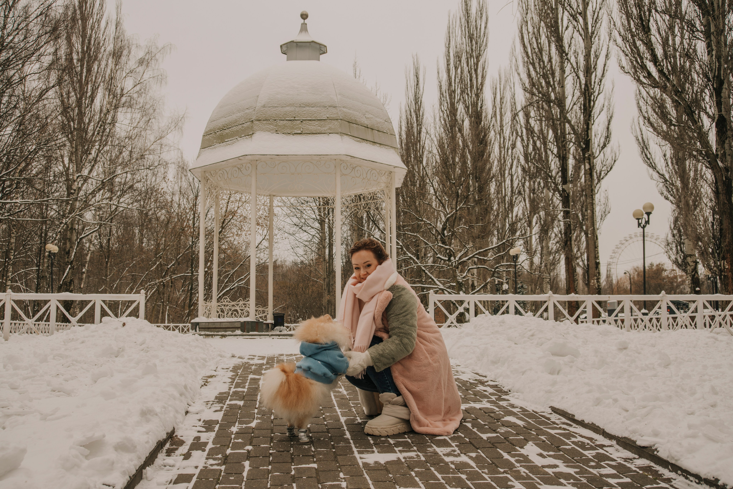  Девушка с собакой в зимнем парке на фоне беседки в классическом стиле