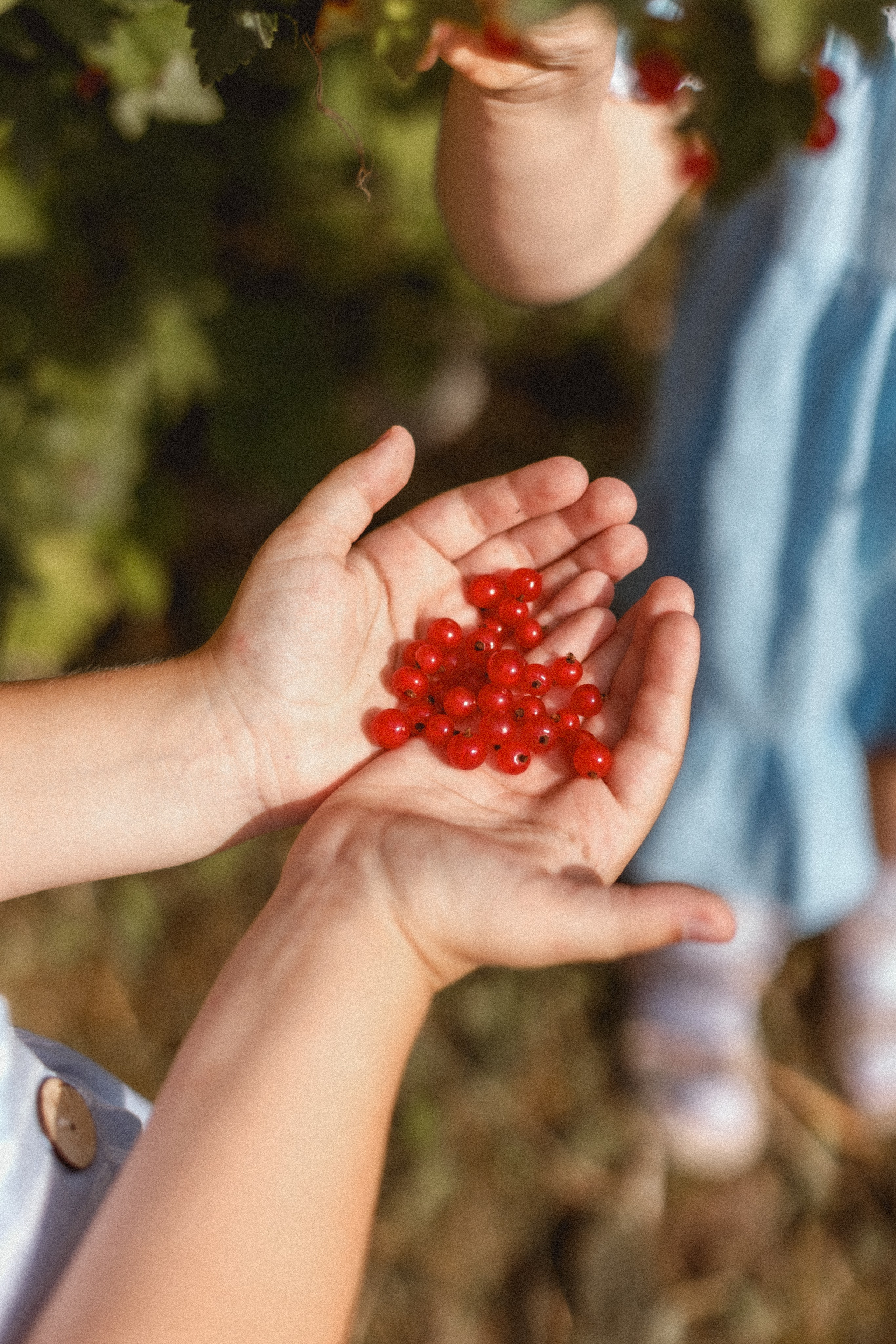 Большая семья. Ирина. Фотограф в Москве Базанова Дарья