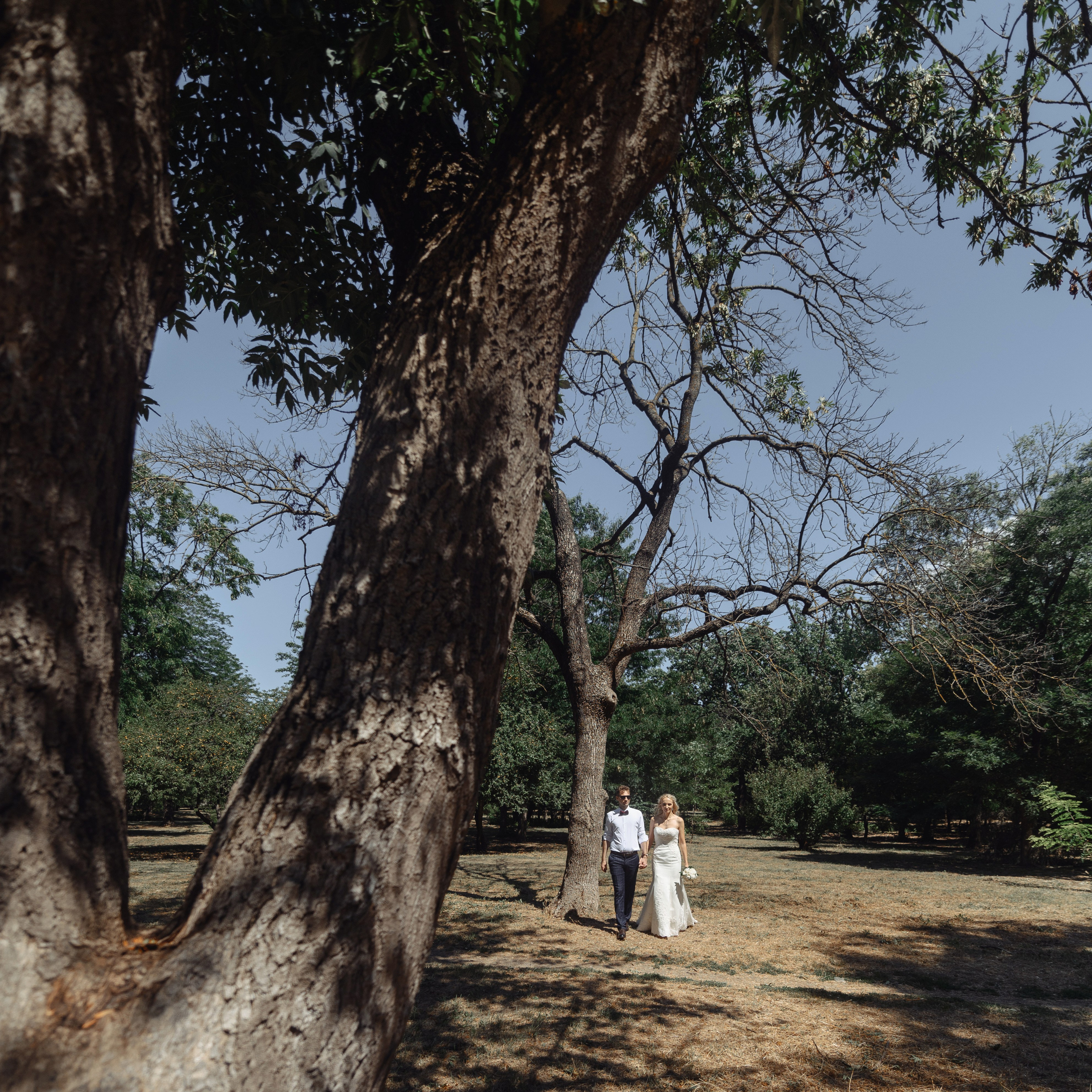 Роман и Надежда. Семейный и свадебный фотограф в Краснодаре Максим Ершов
